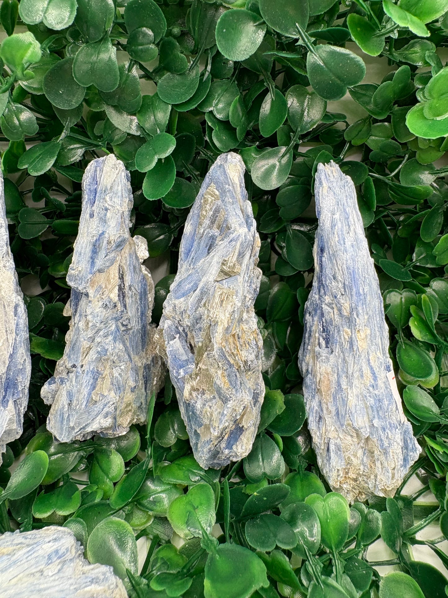 Raw Blue Kyanite in Mica From Brazil