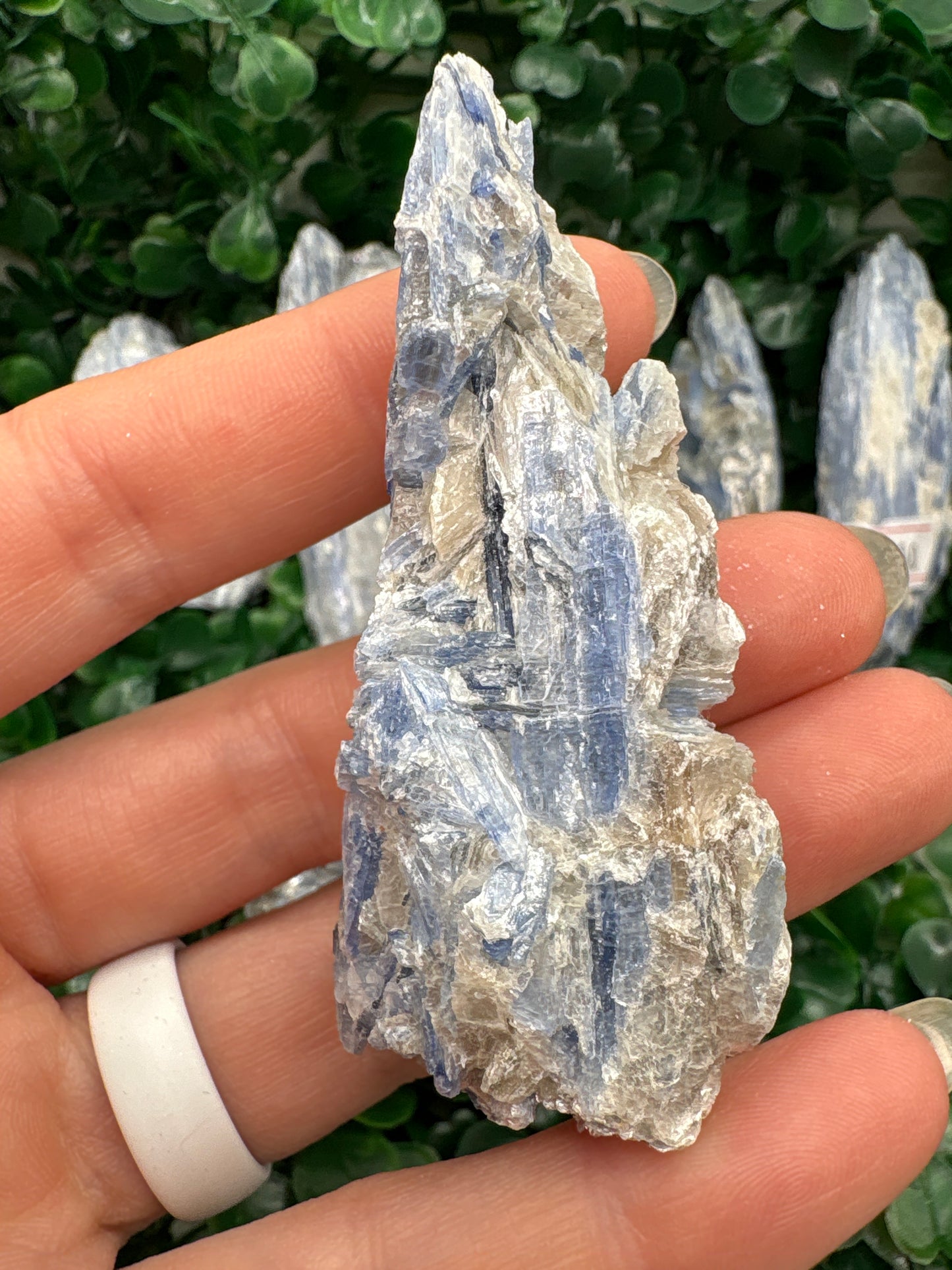 Raw Blue Kyanite in Mica From Brazil