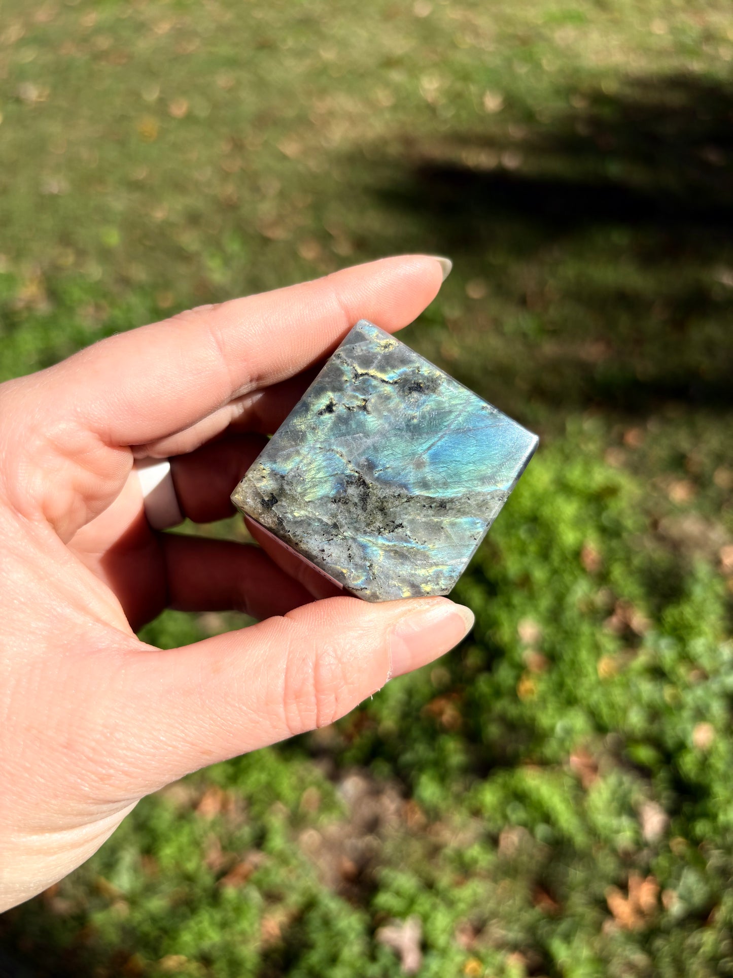 Labradorite (cut Freeform)