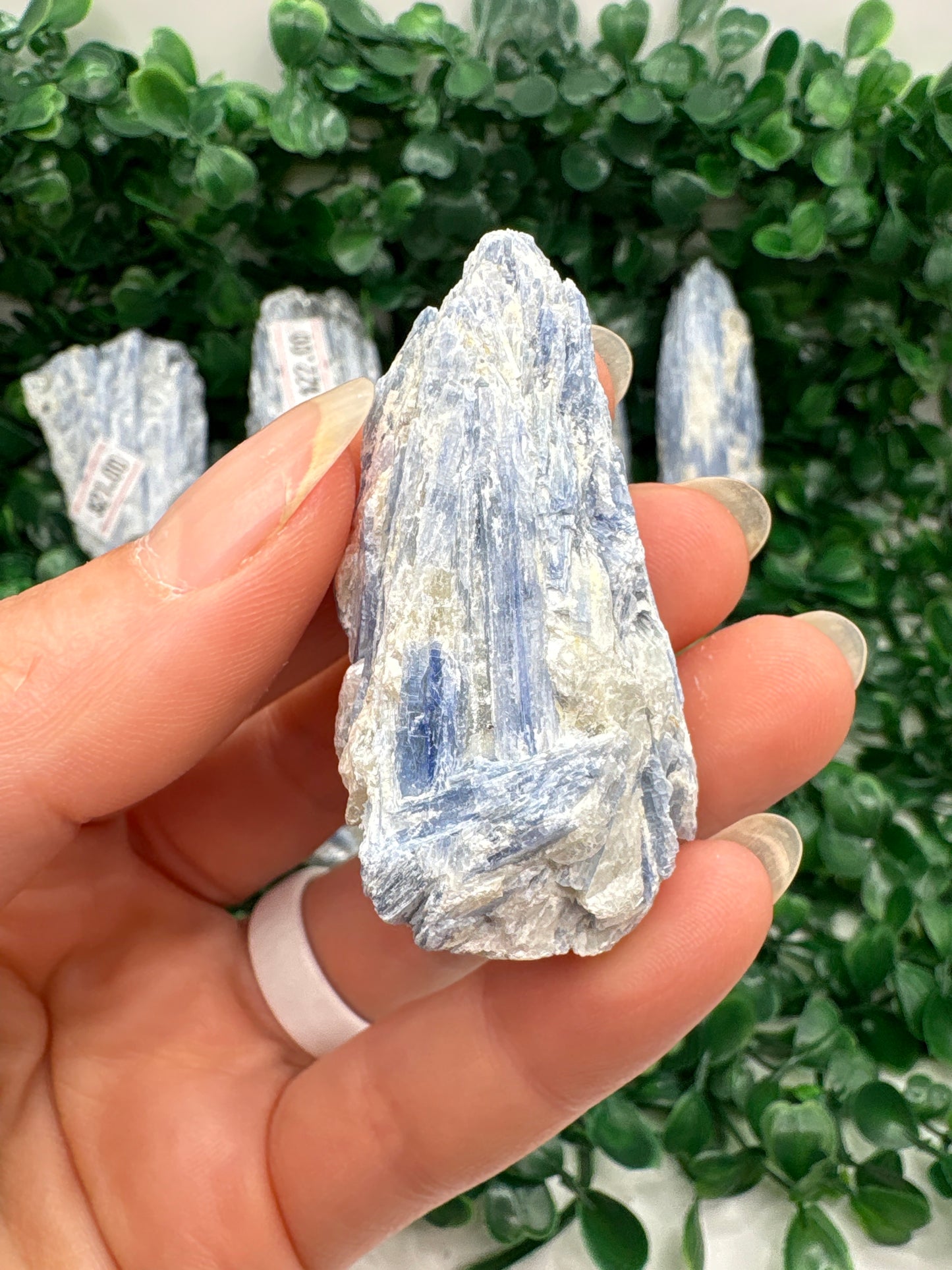 Raw Blue Kyanite in Mica From Brazil
