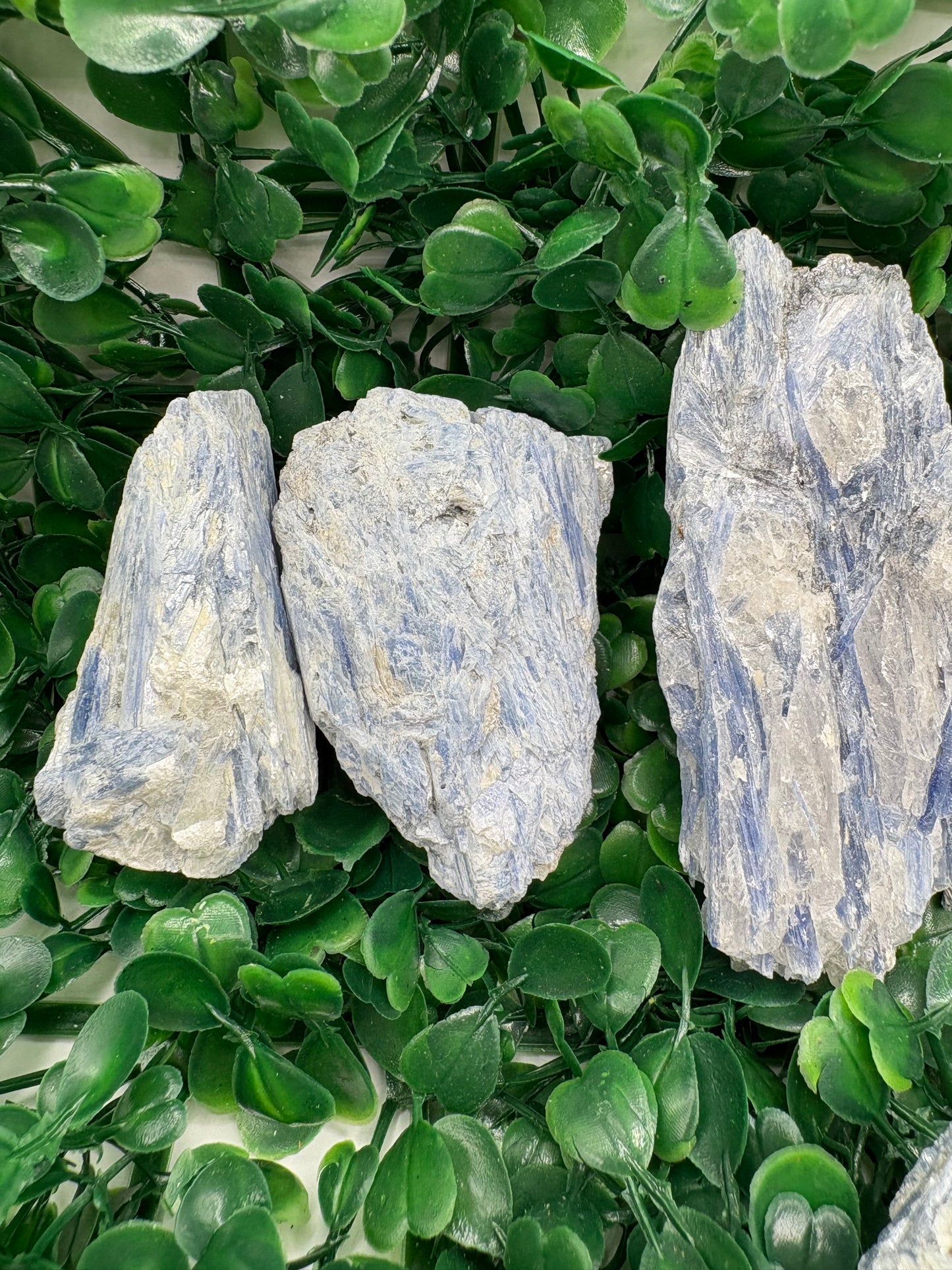 Raw Blue Kyanite in Mica From Brazil