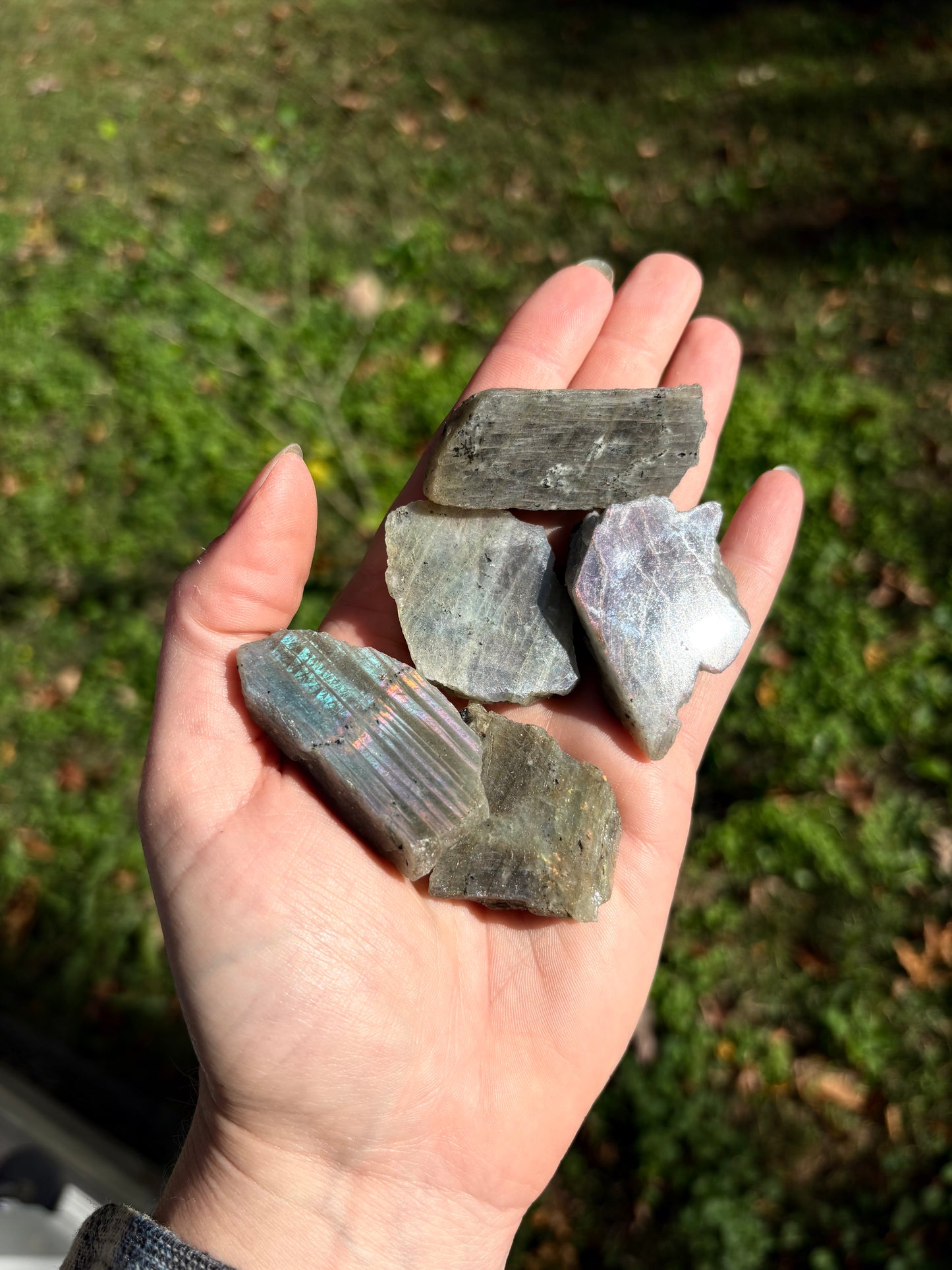 Purple Labradorite (Raw + Polished Face)