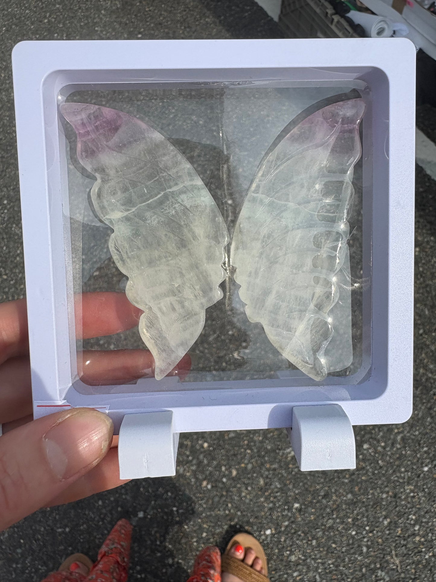 Fluoride Butterfly wings in white case
