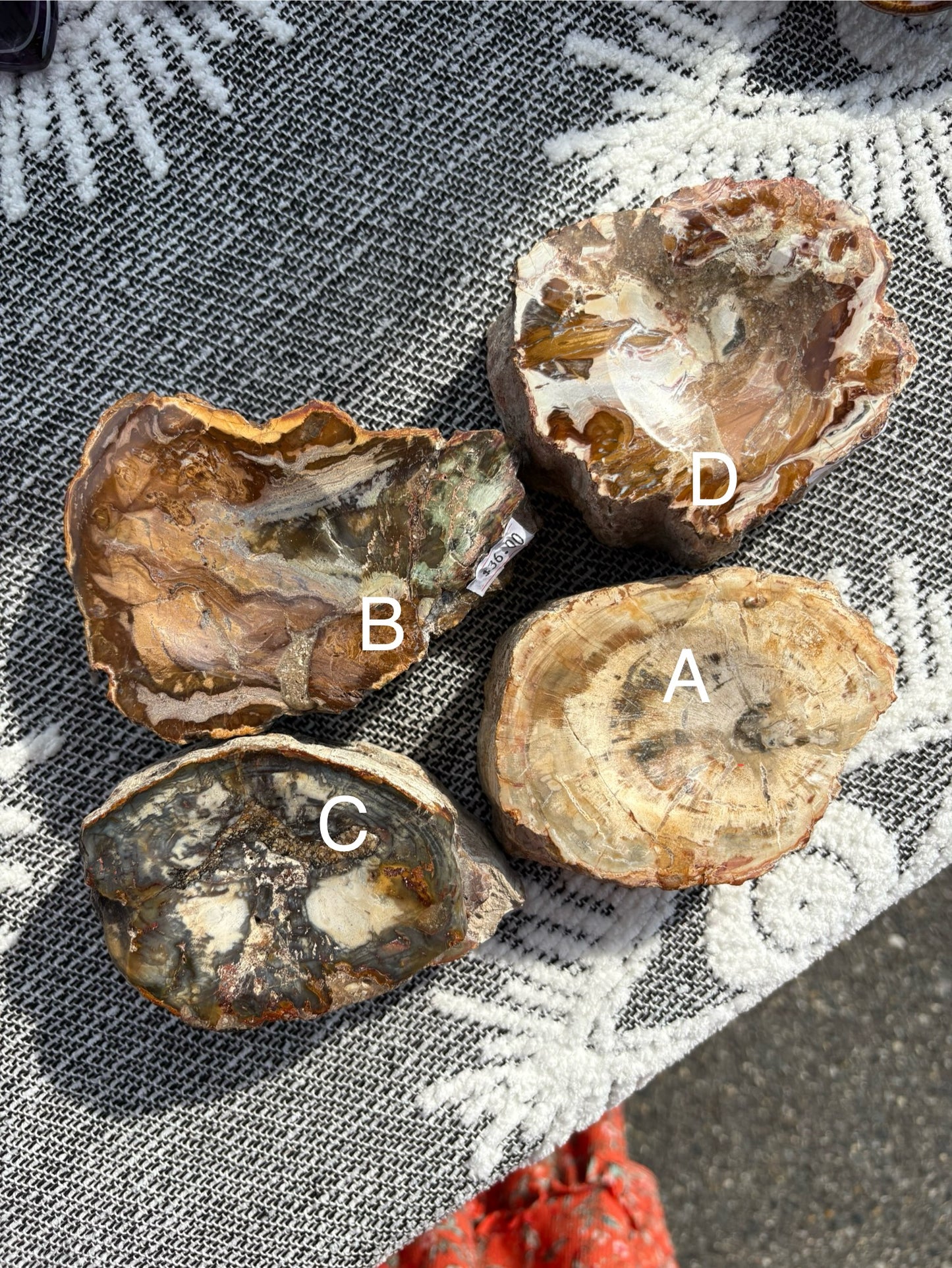 Petrified wood (Stands)