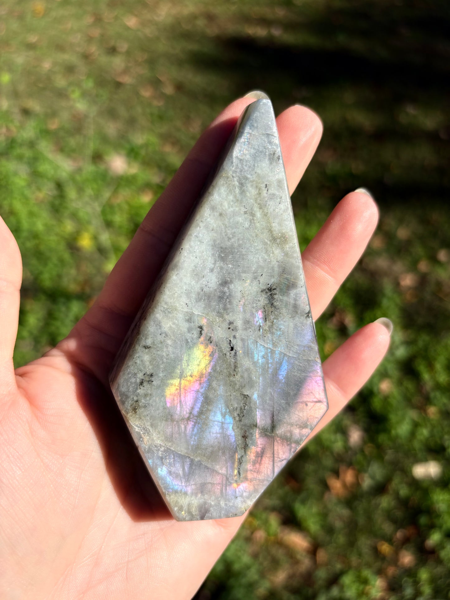 Labradorite (cut Freeform)