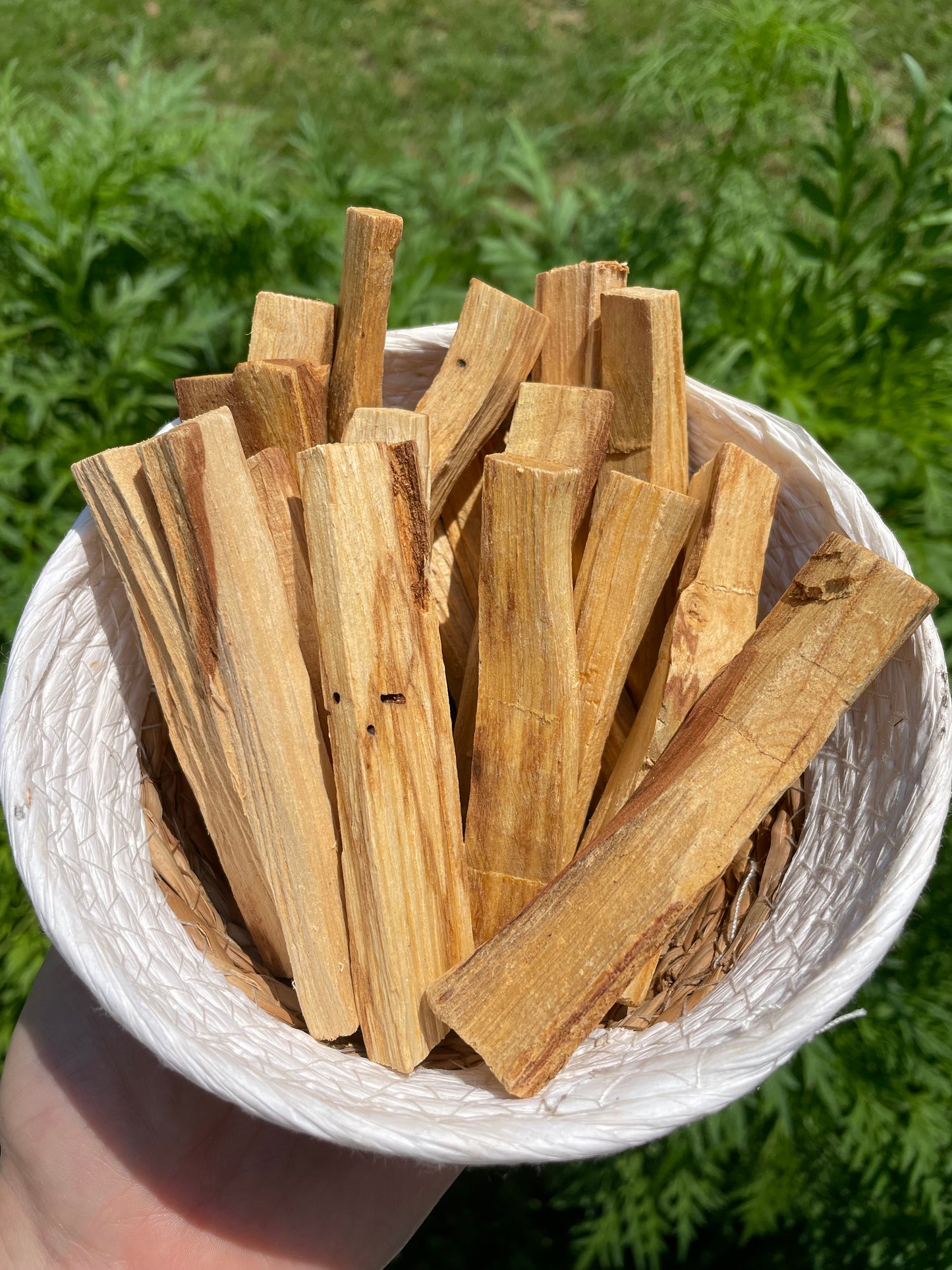 Palo Santo Sticks (Ecuador)