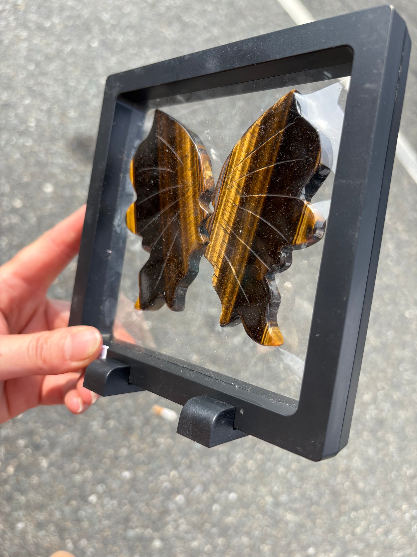Tiger Eye Wings in Case