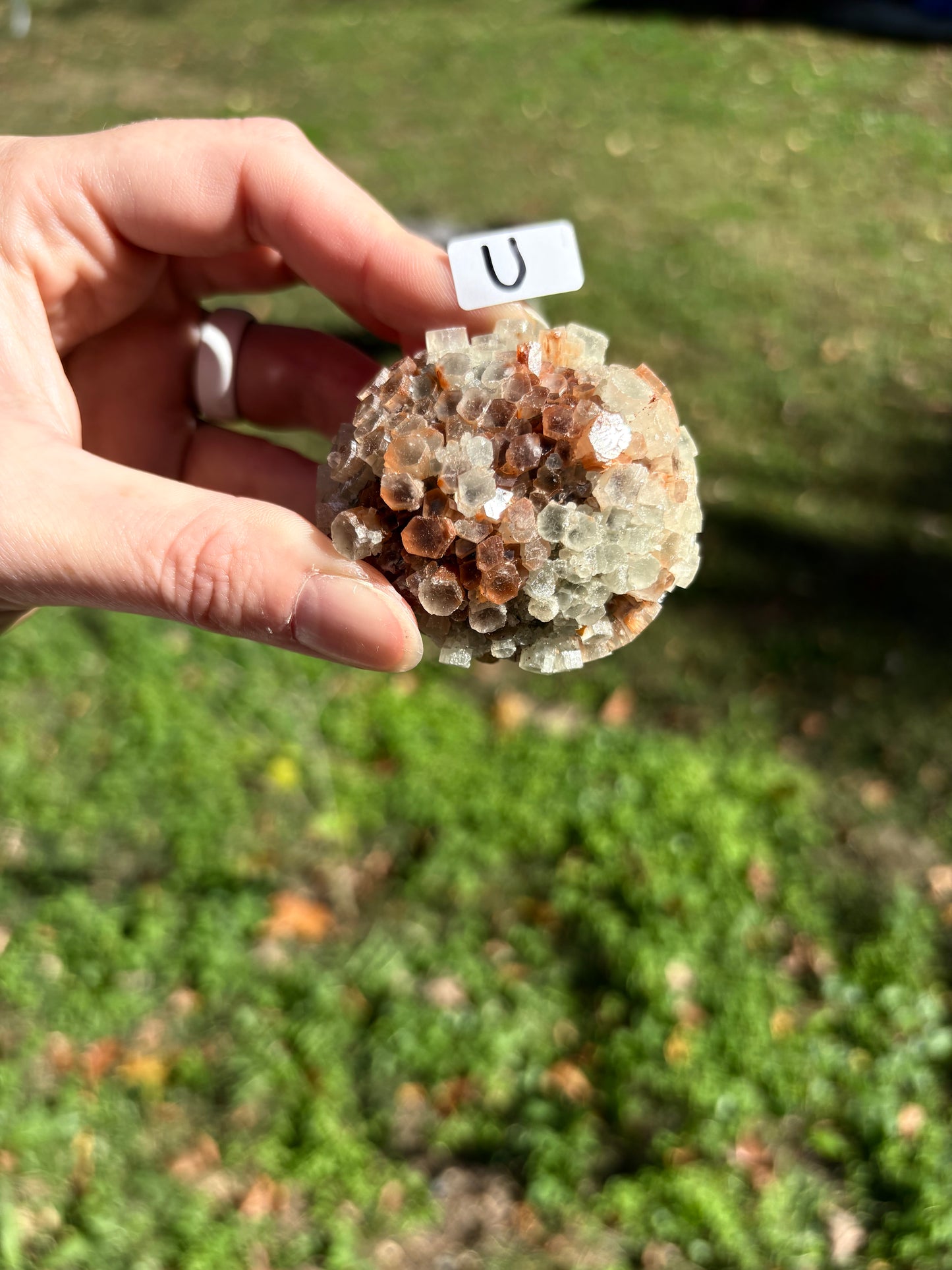 Aragonite Cluster