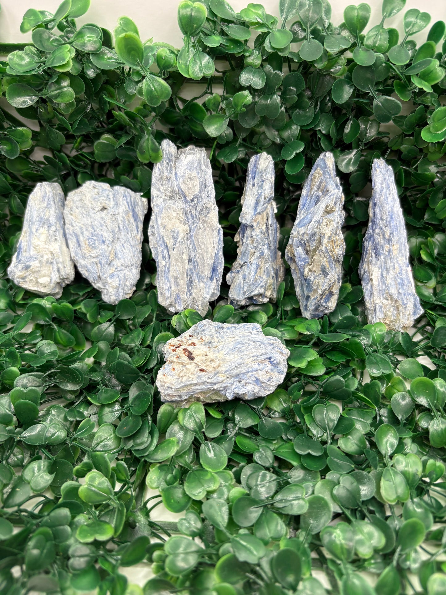 Raw Blue Kyanite in Mica From Brazil
