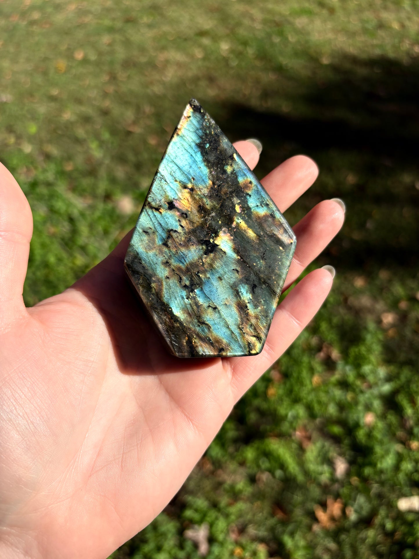 Labradorite (cut Freeform)