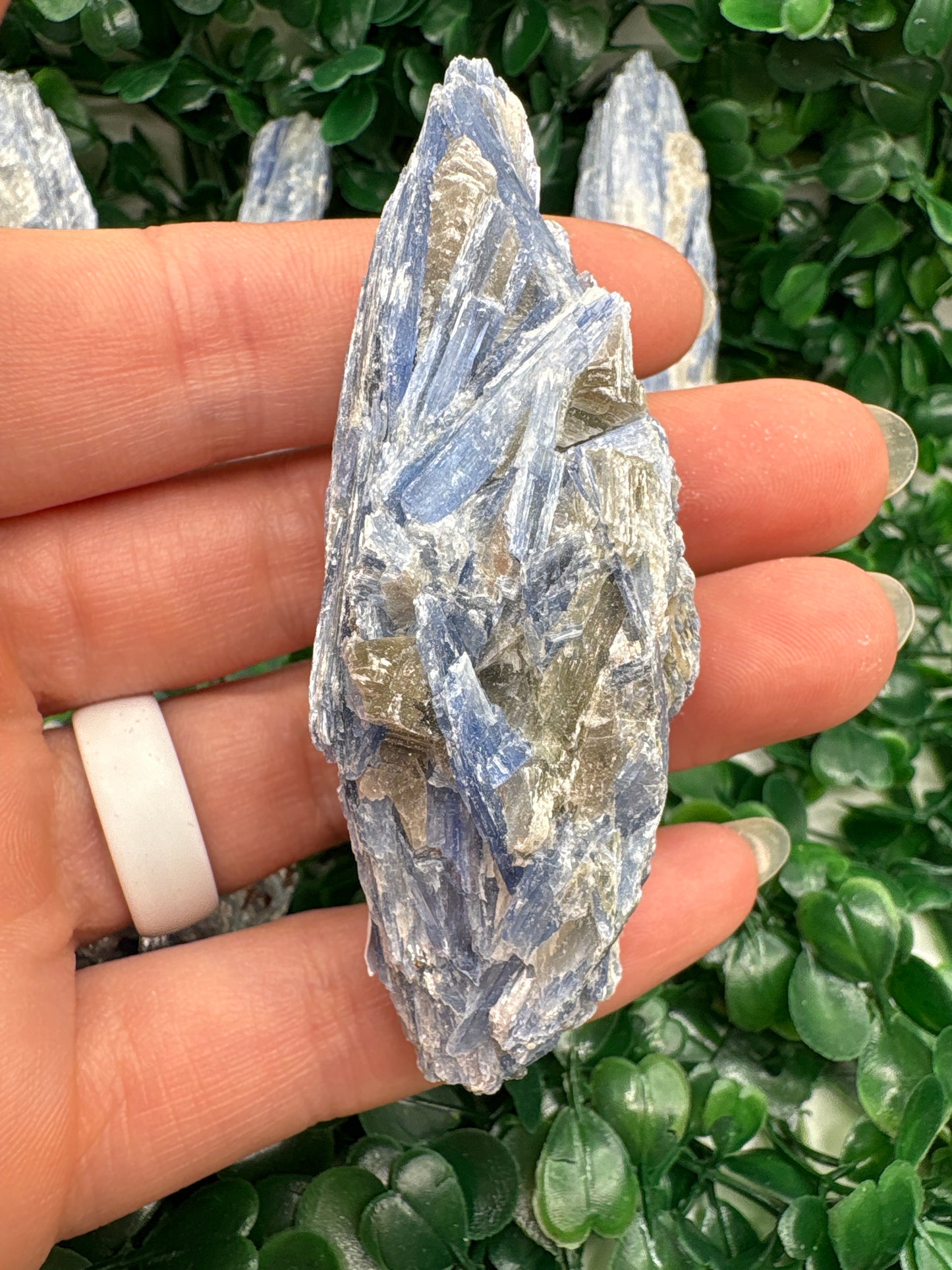 Raw Blue Kyanite in Mica From Brazil