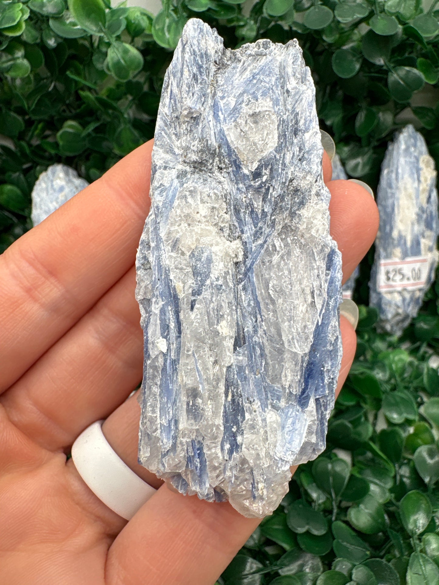 Raw Blue Kyanite in Mica From Brazil