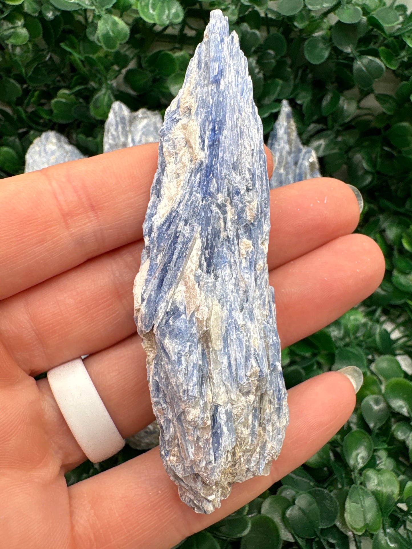 Raw Blue Kyanite in Mica From Brazil