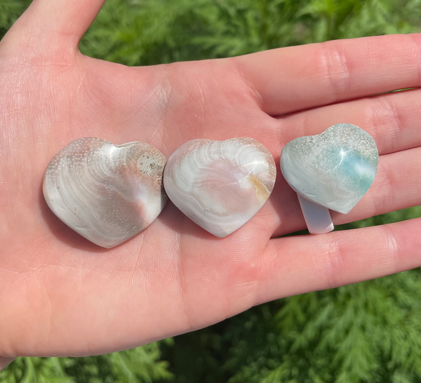 Shiva Shell Hearts