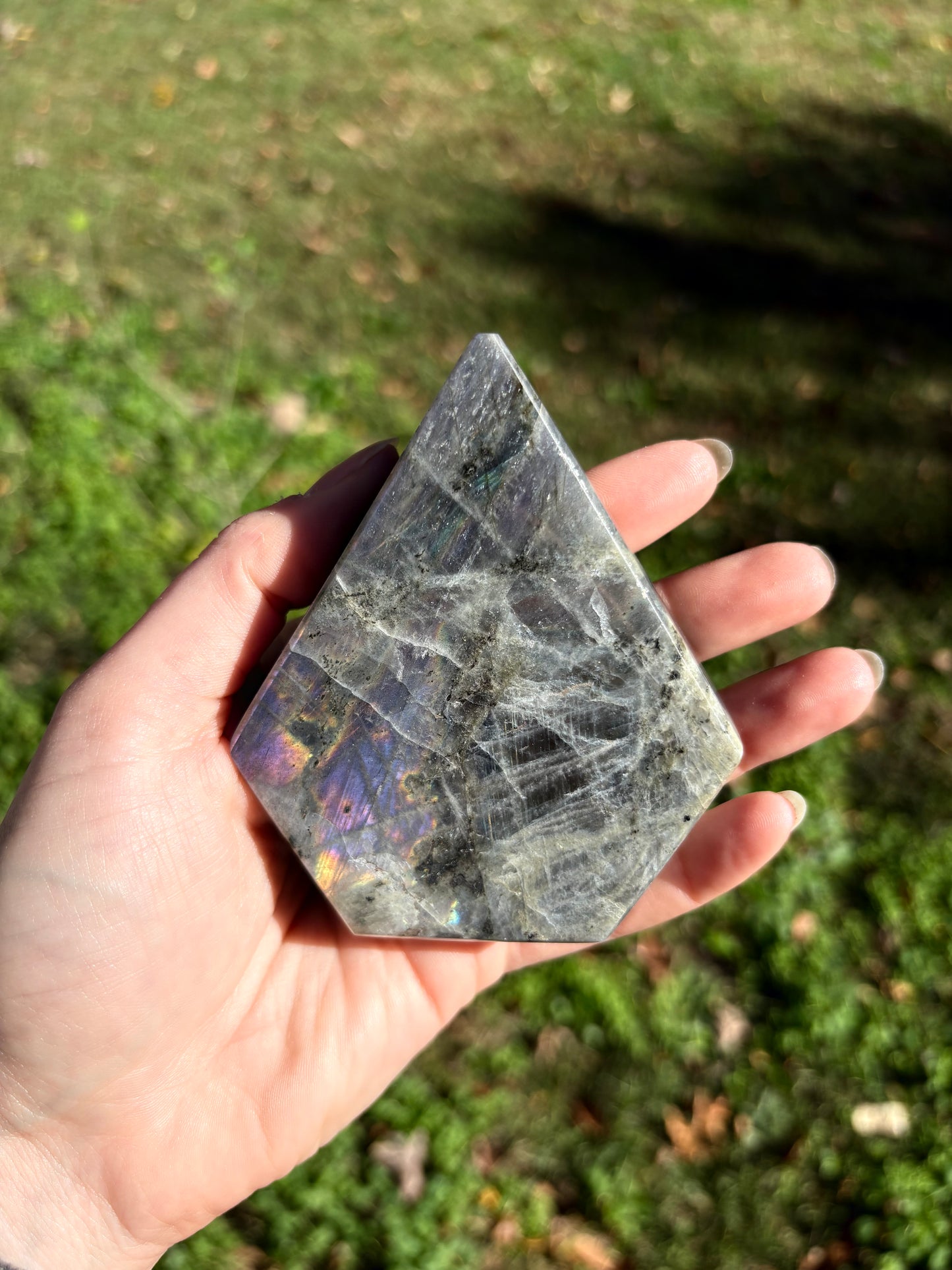 Labradorite (cut Freeform)