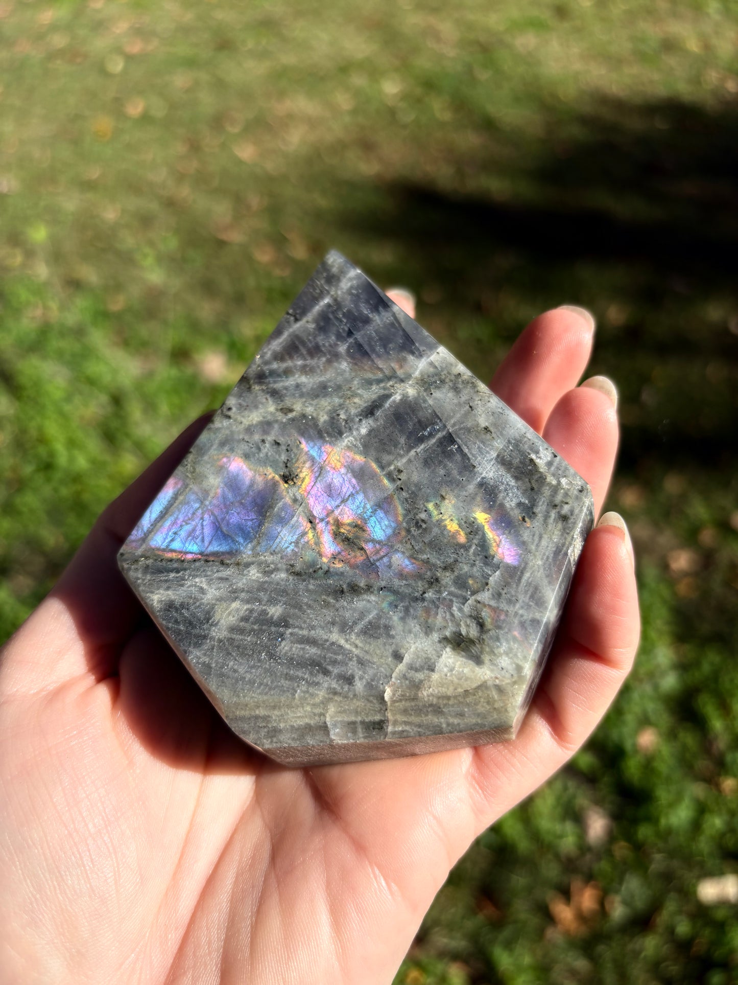 Labradorite (cut Freeform)