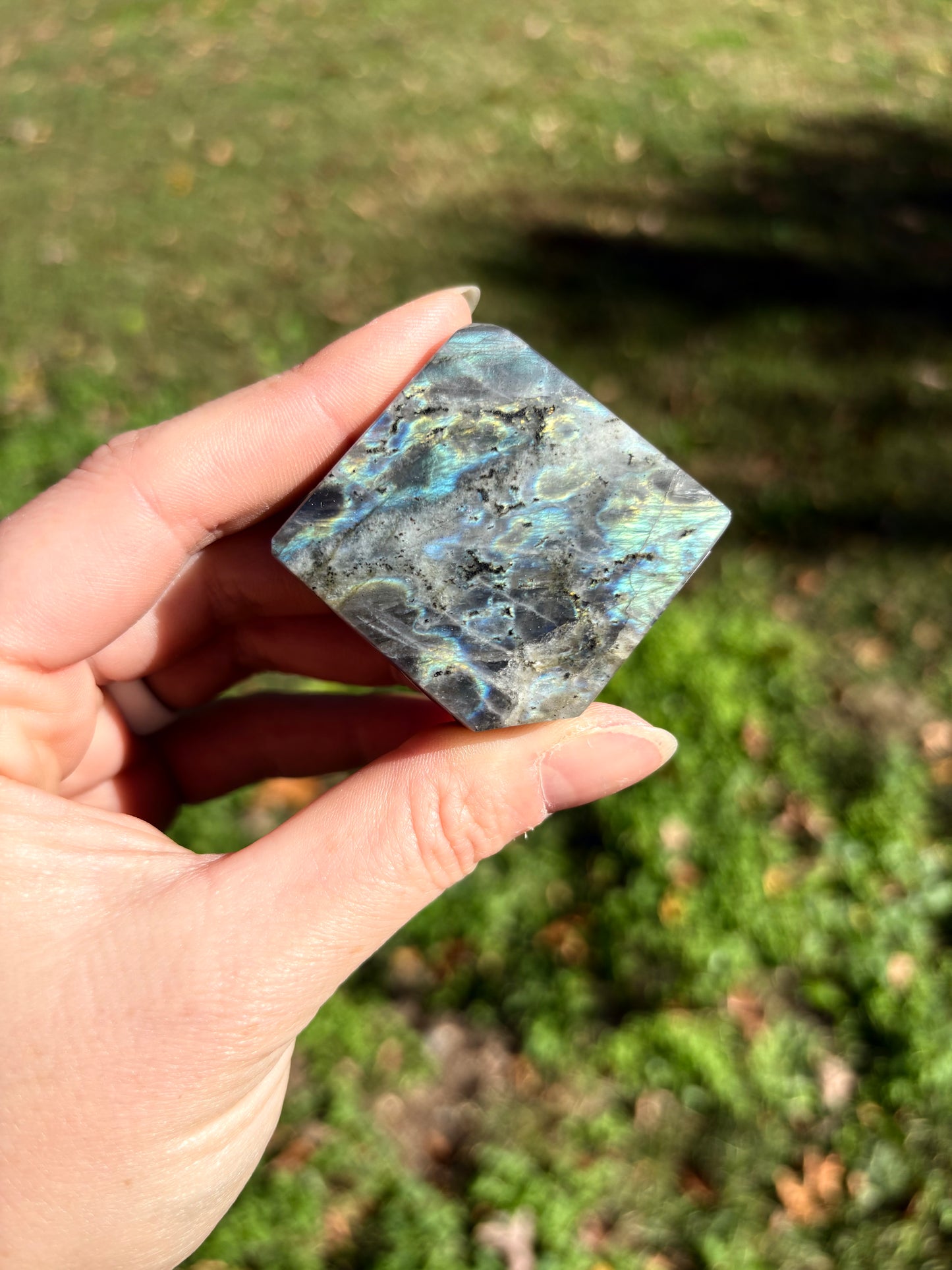 Labradorite (cut Freeform)