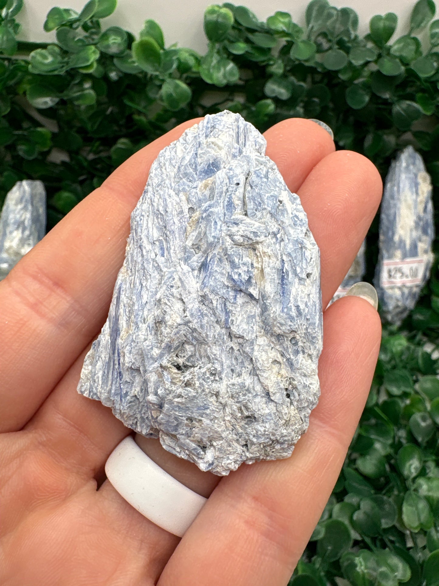 Raw Blue Kyanite in Mica From Brazil