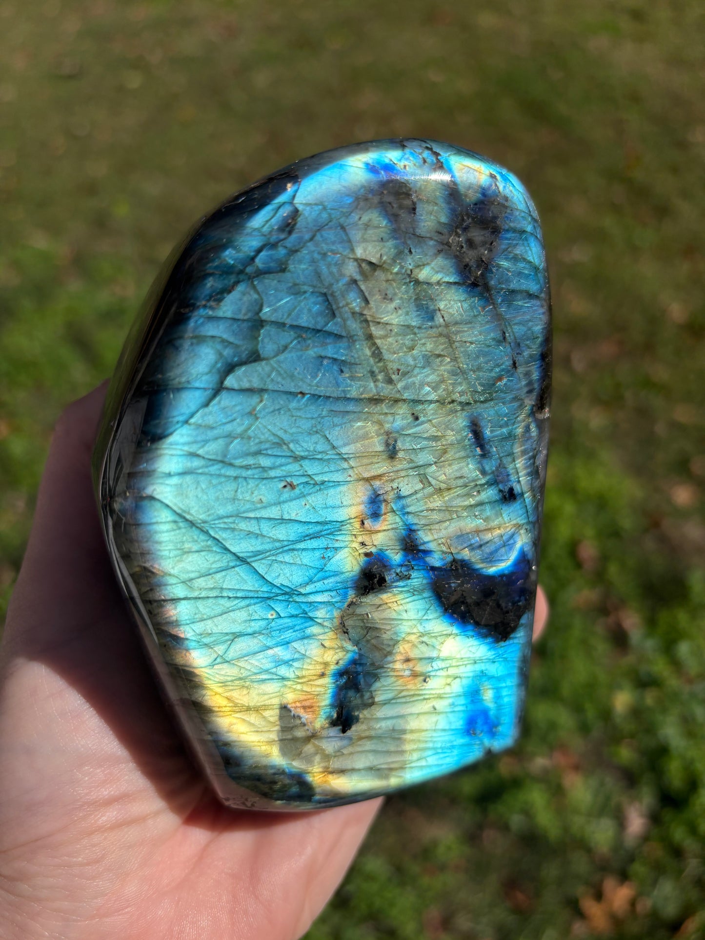 Labradorite freeform #1