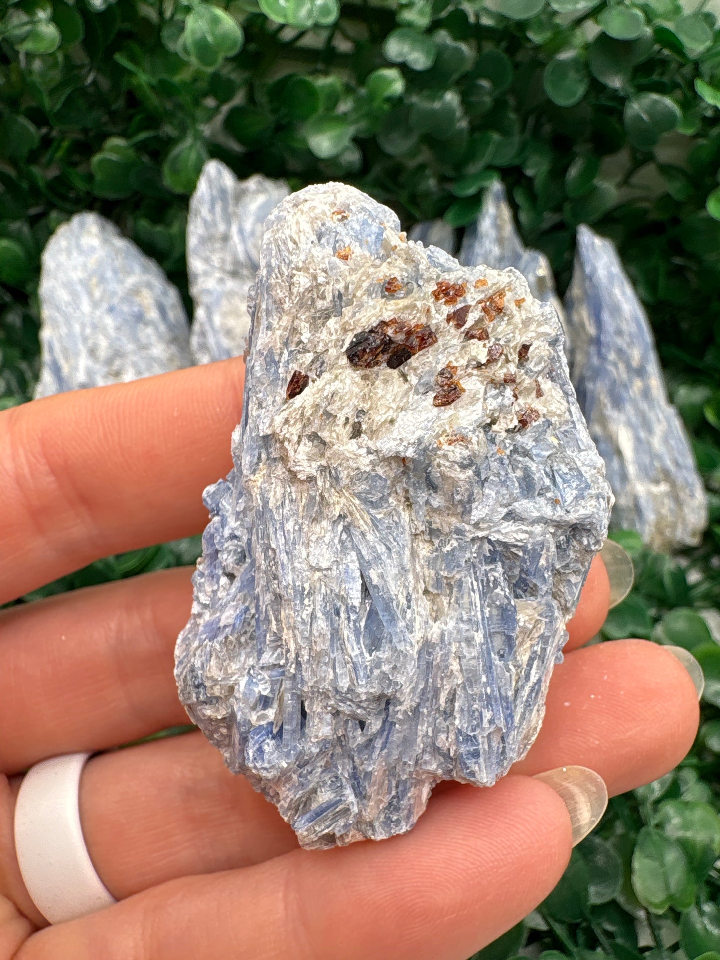 Raw Blue Kyanite in Mica From Brazil