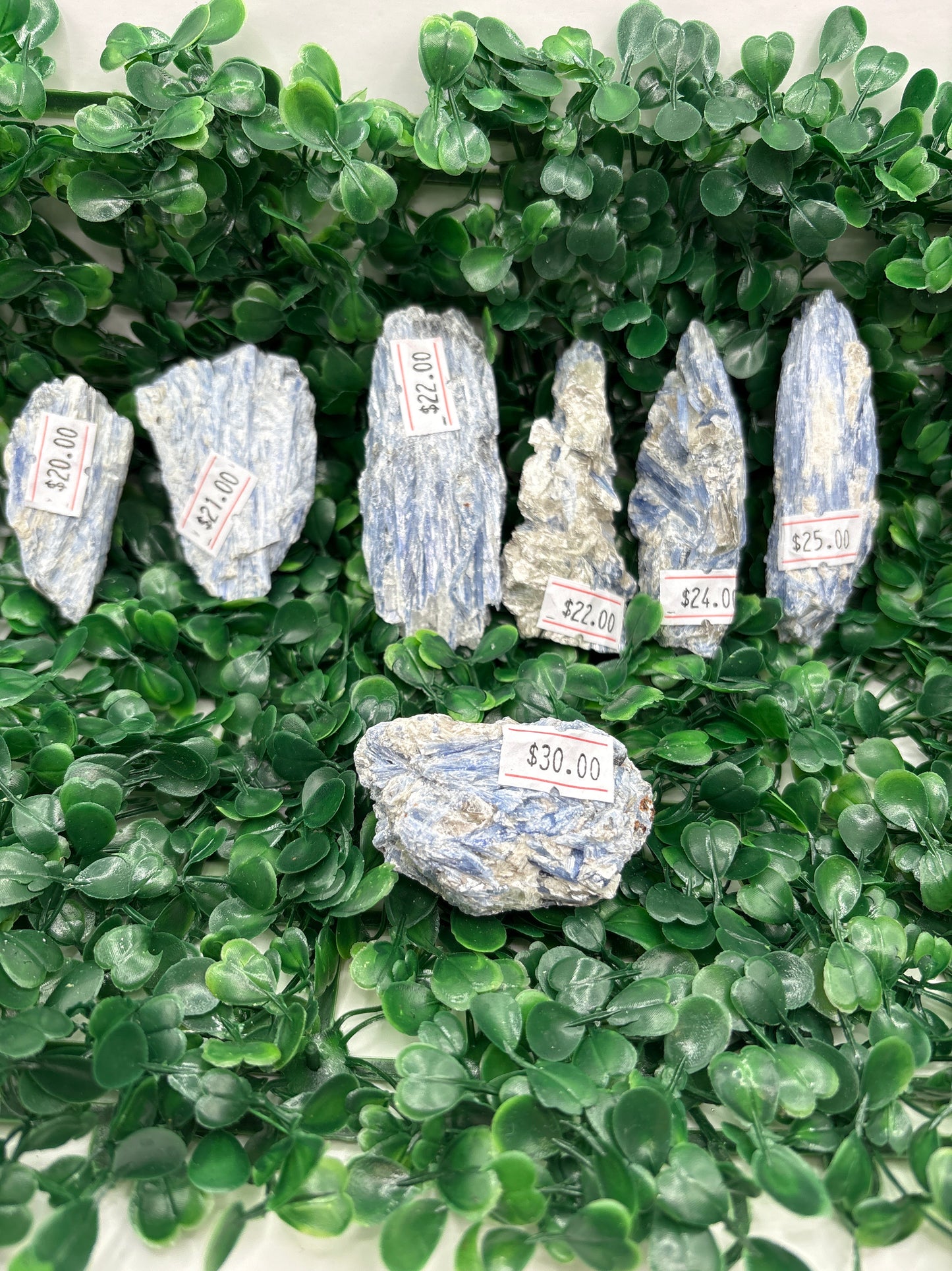 Raw Blue Kyanite in Mica From Brazil