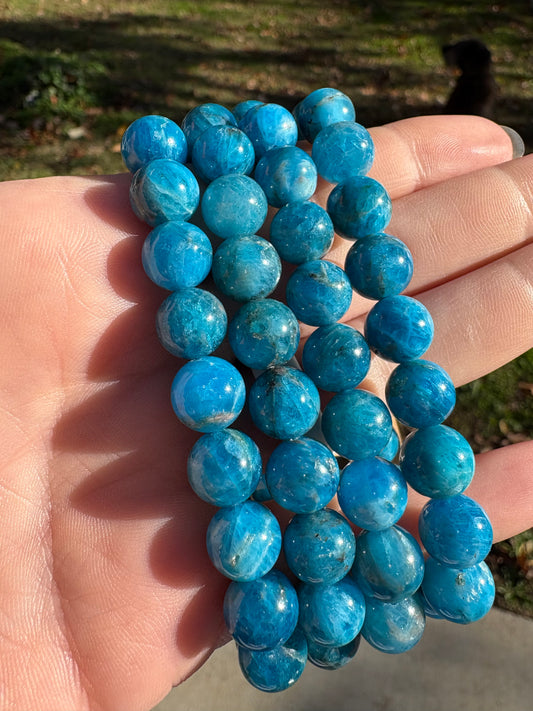 Blue Apatite 10mm Bracelet