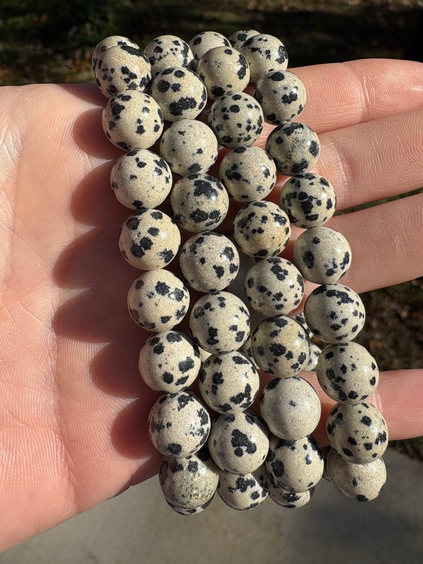 Dalmatian Jasper 10mm Bracelet