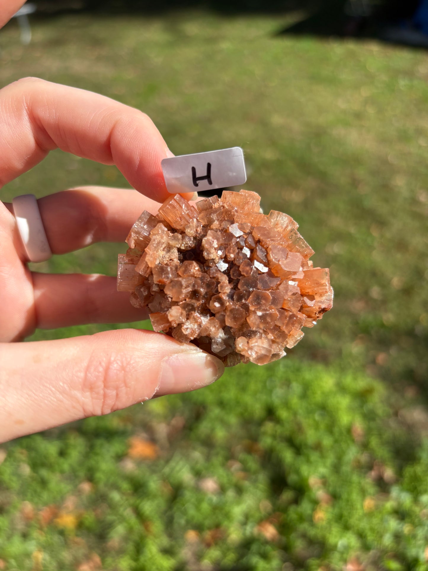 Aragonite Cluster
