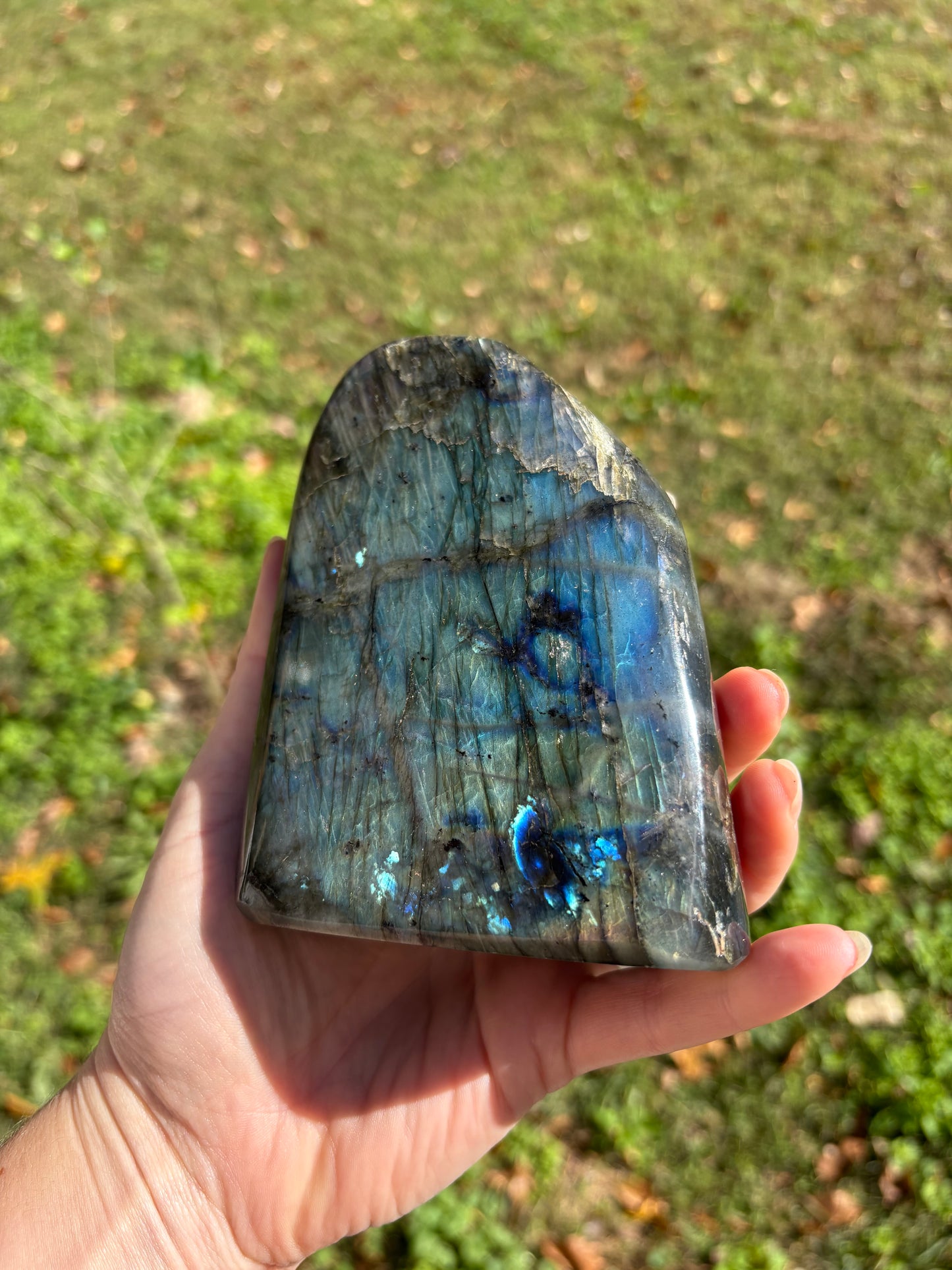 Labradorite freeform #3￼