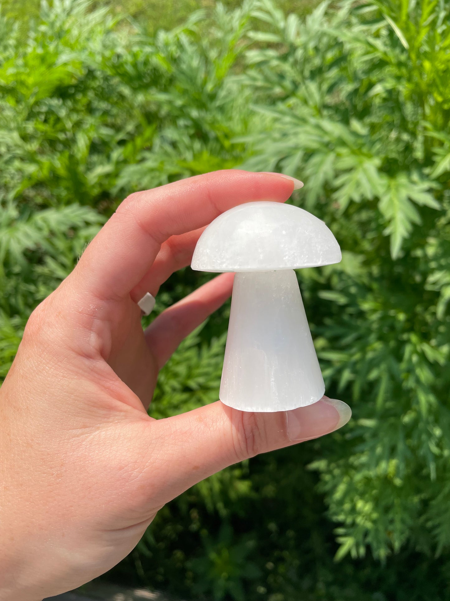 Selenite Mushroom