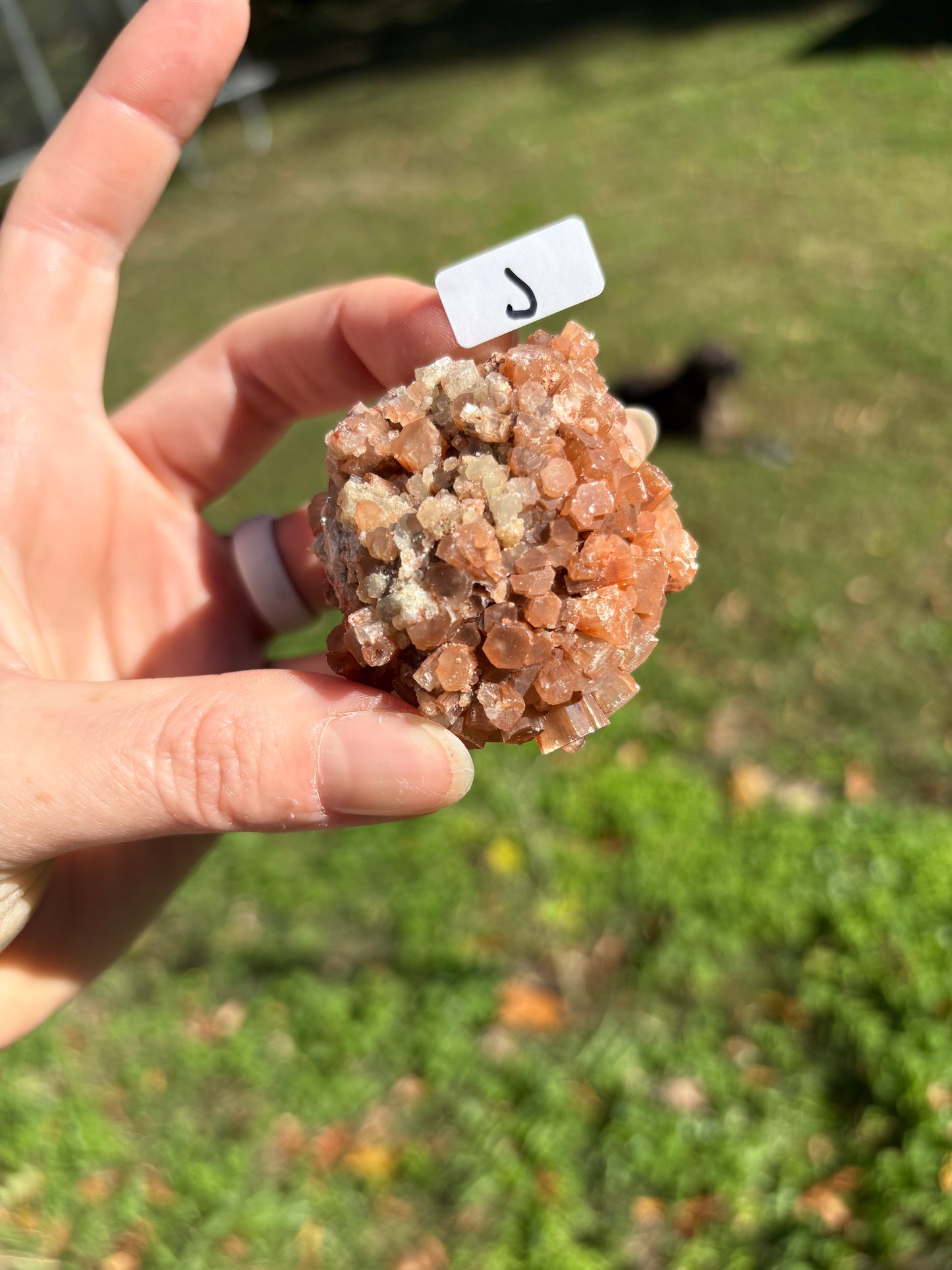 Aragonite Cluster