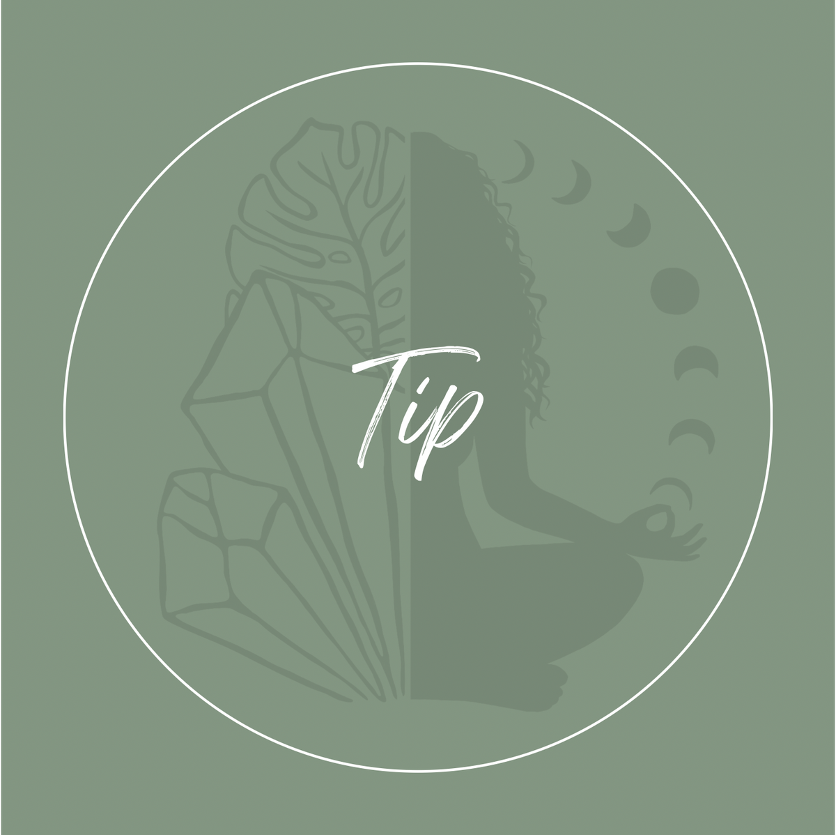 TIP