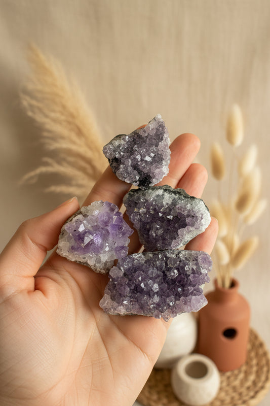 Amethyst mini cluster ￼