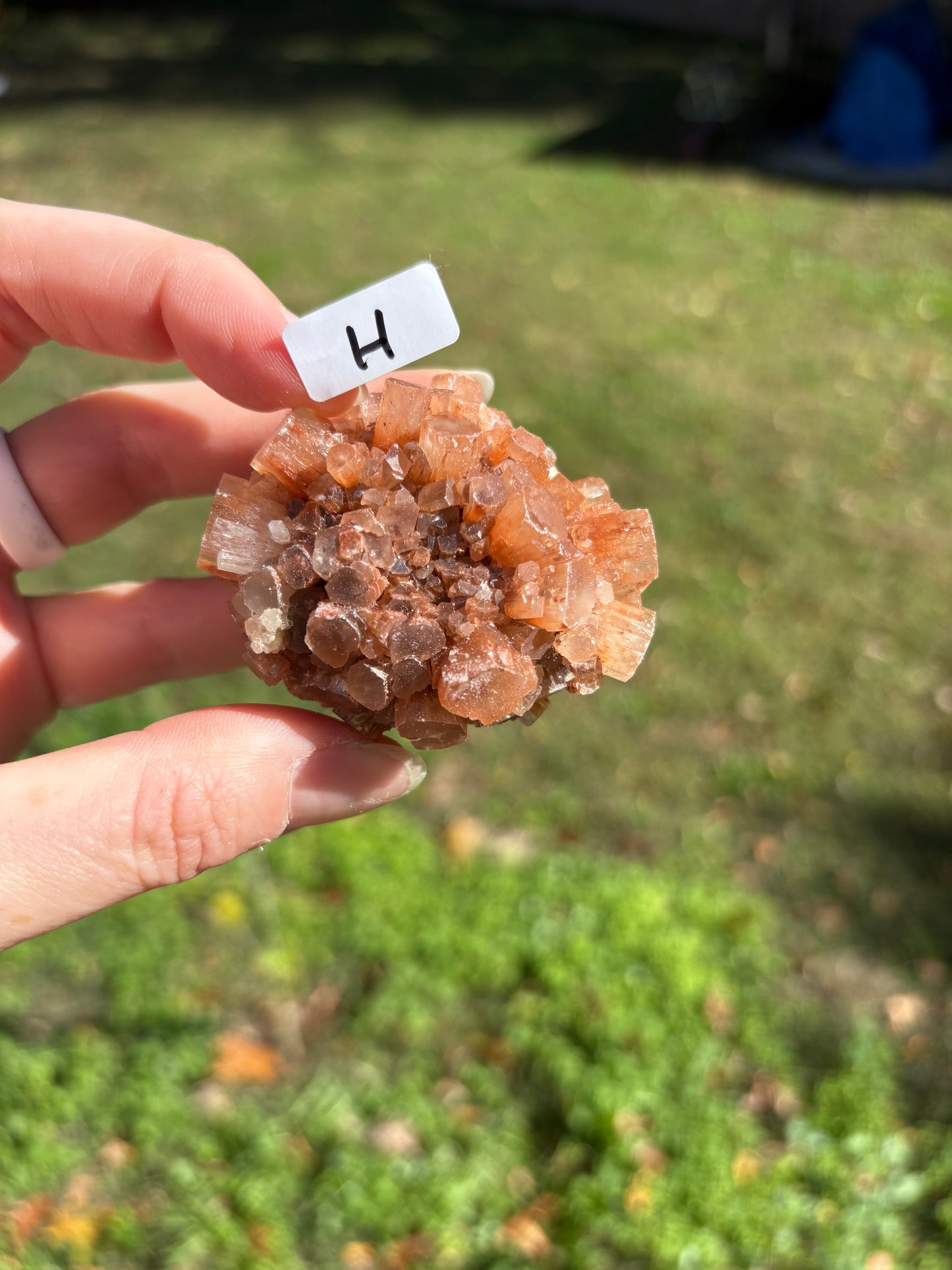 Aragonite Cluster