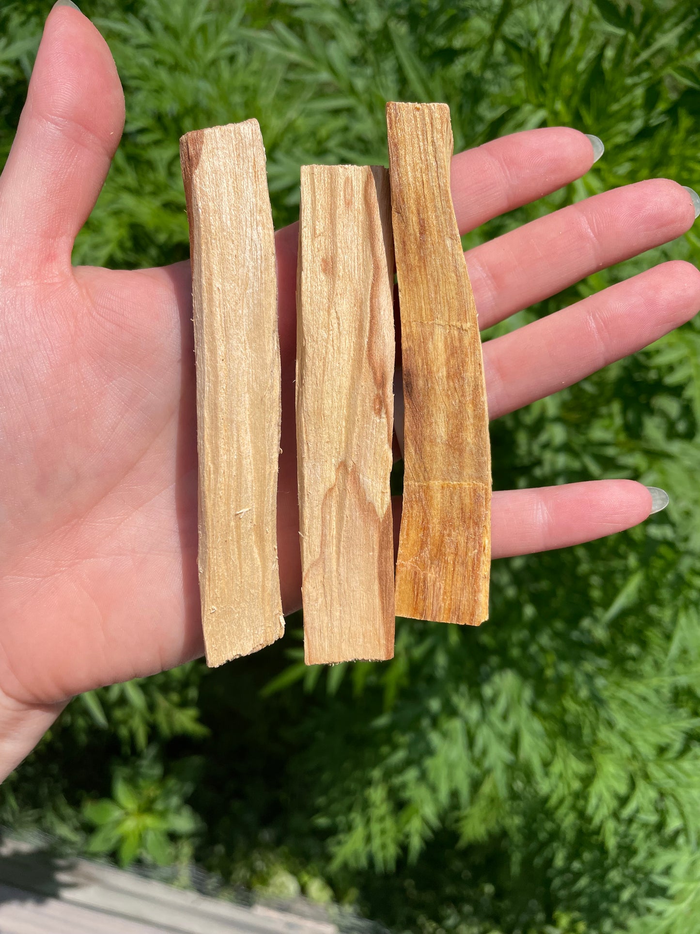 Palo Santo Sticks (Ecuador)