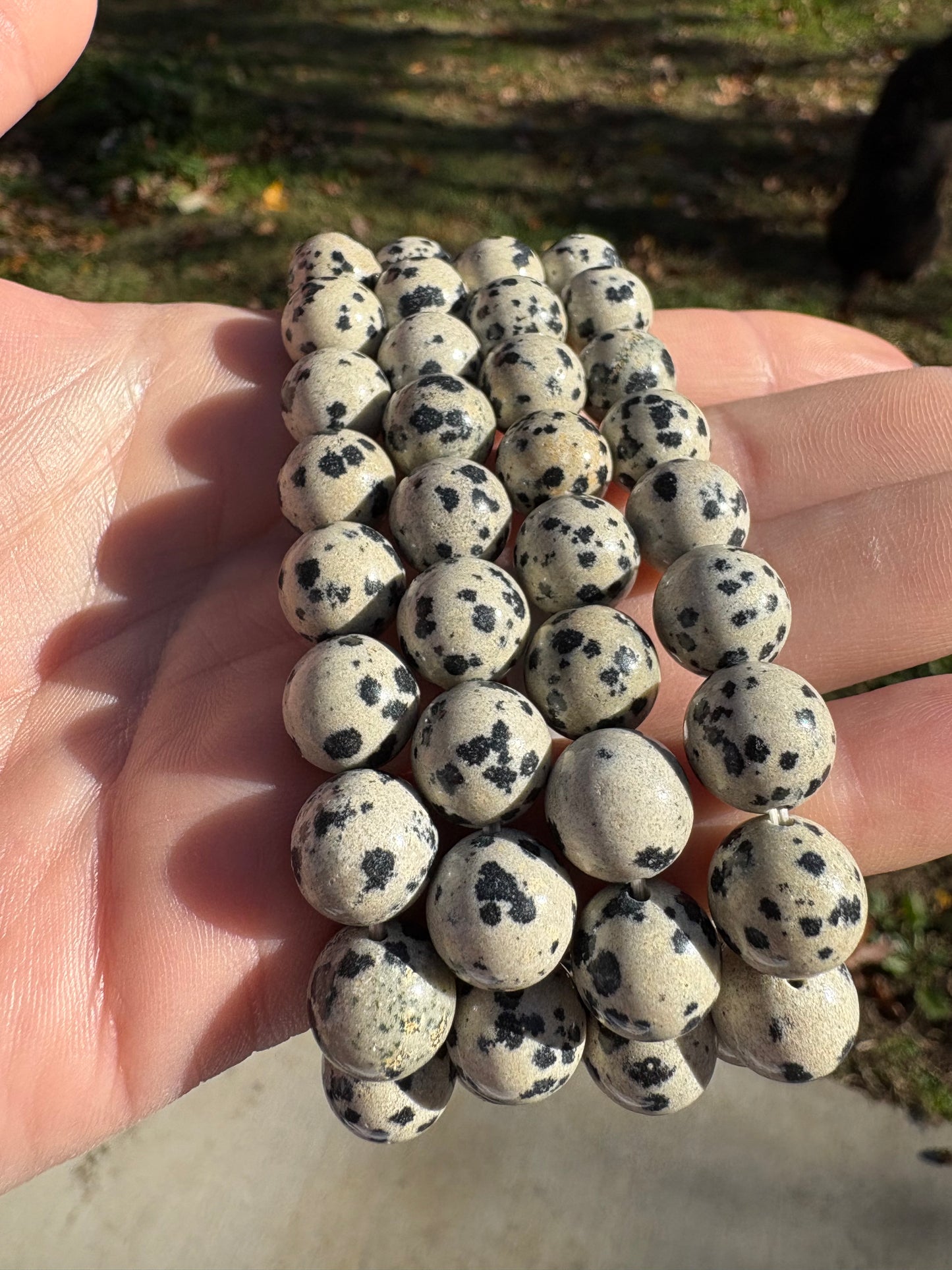 Dalmatian Jasper 10mm Bracelet