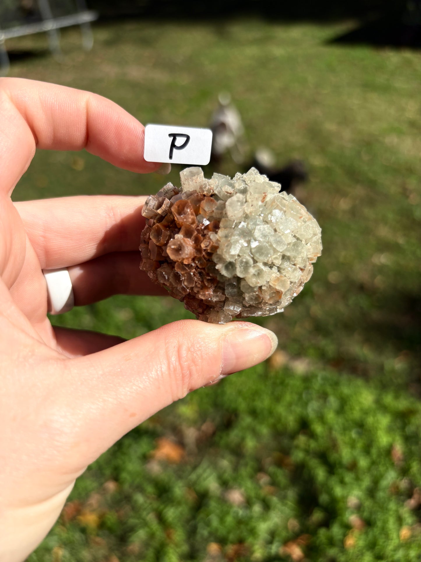 Aragonite Cluster