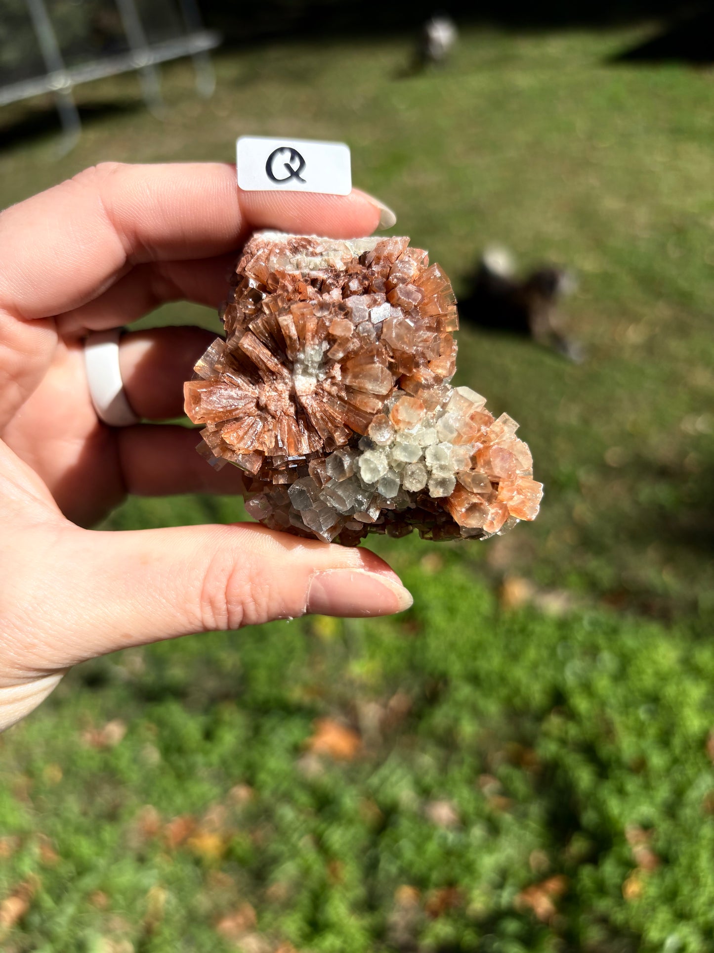 Aragonite Cluster