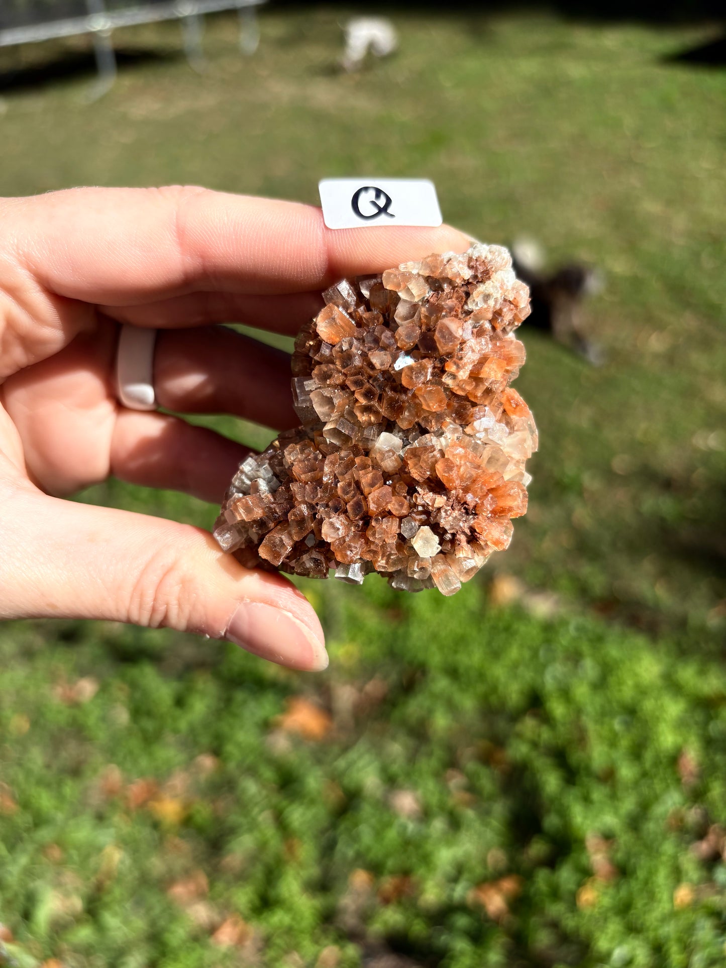 Aragonite Cluster