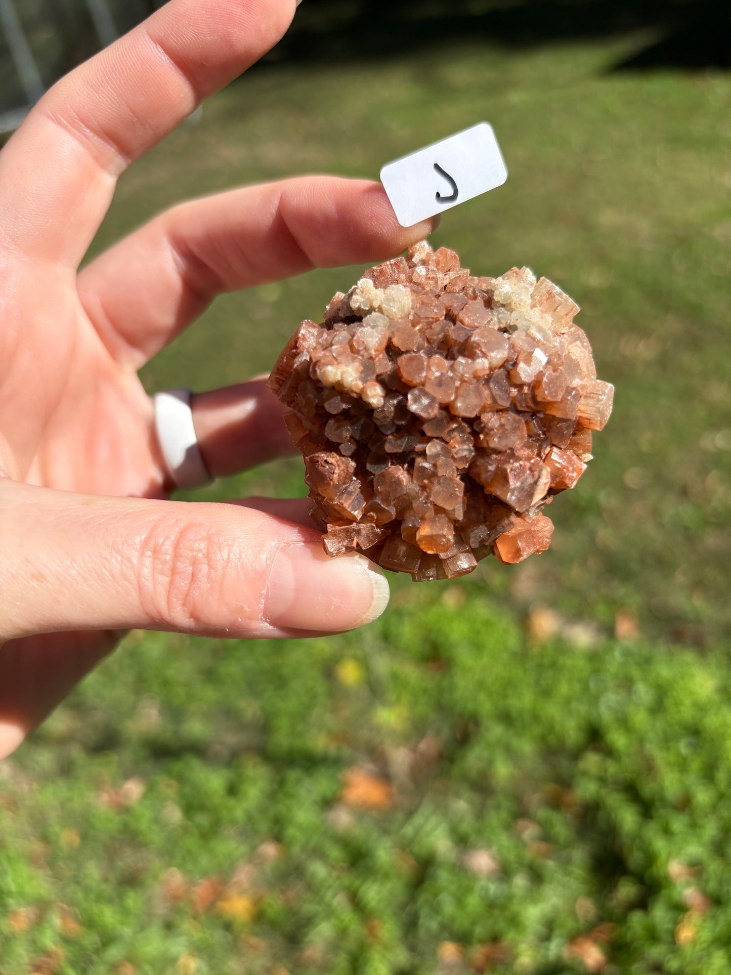 Aragonite Cluster
