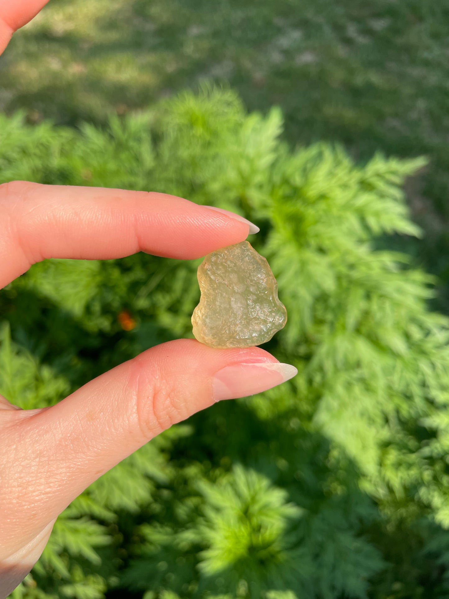 Libyan Desert Glass