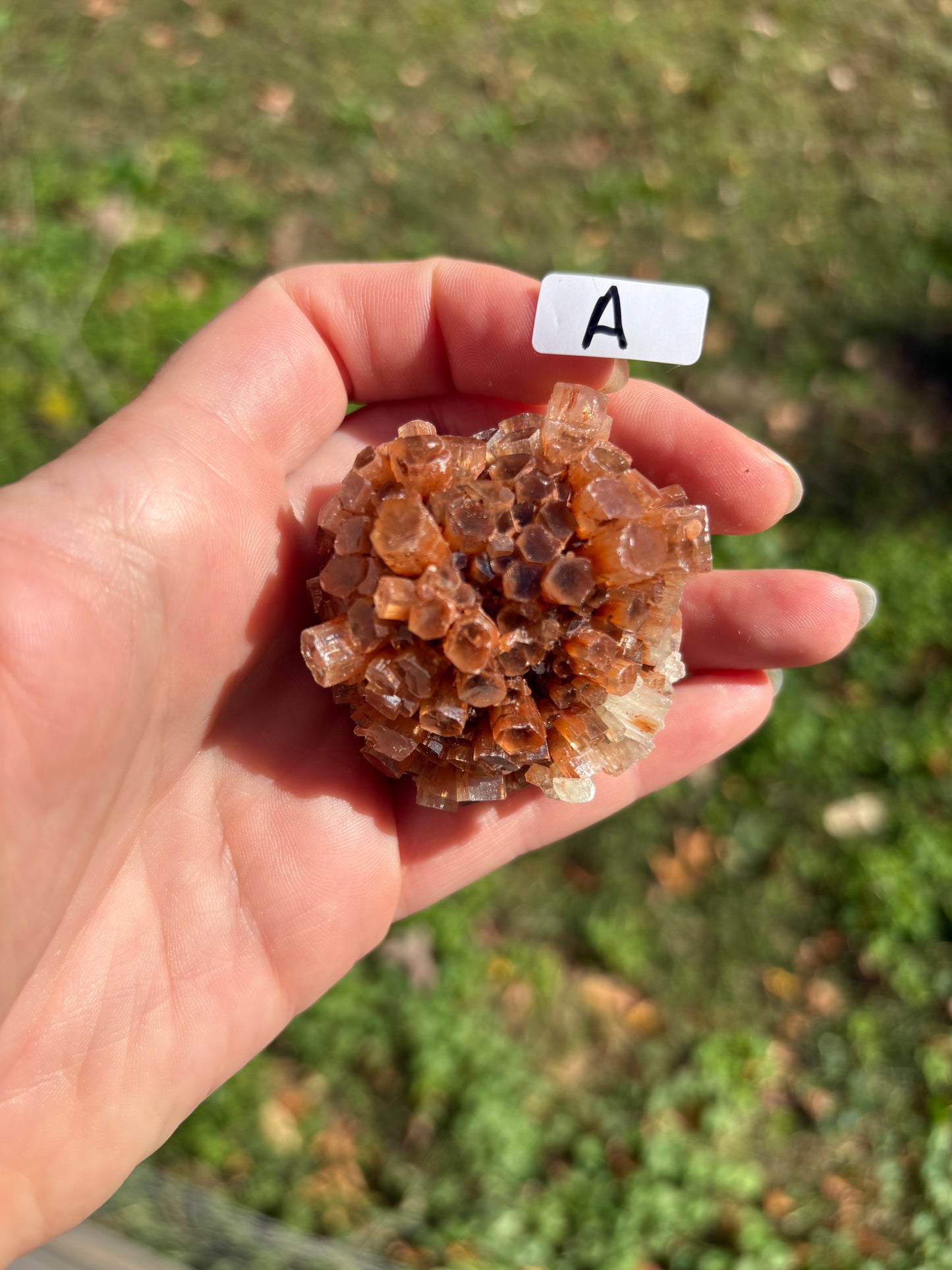 Aragonite Cluster