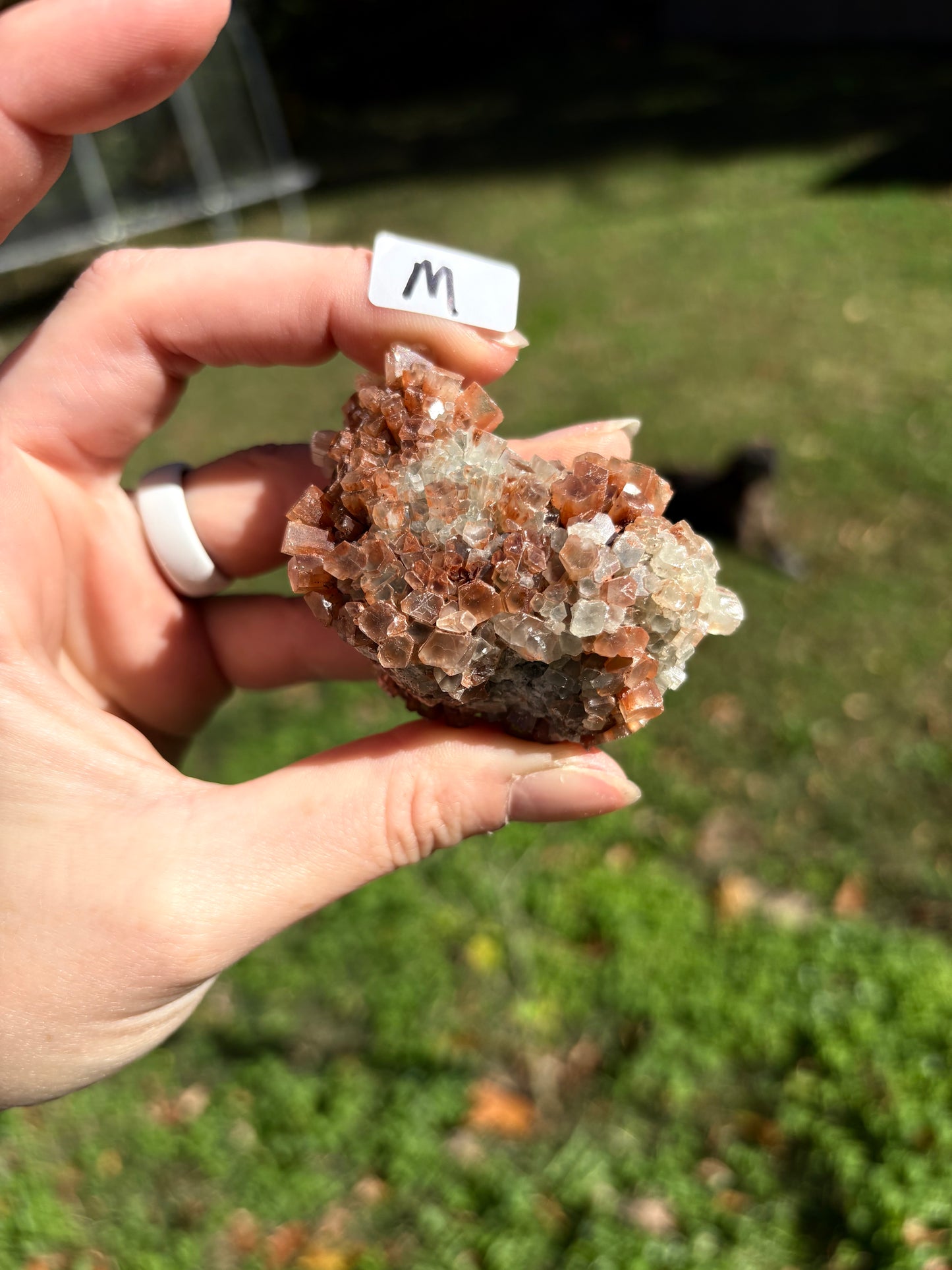 Aragonite Cluster