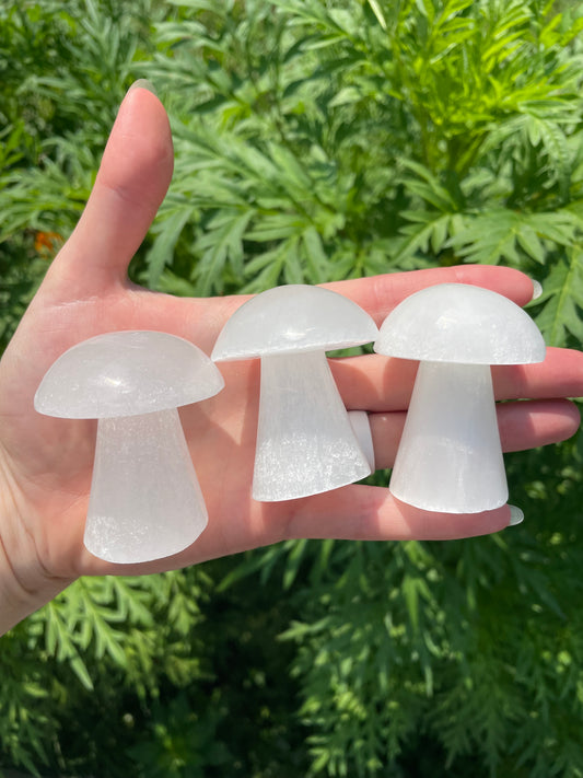 Selenite Mushroom