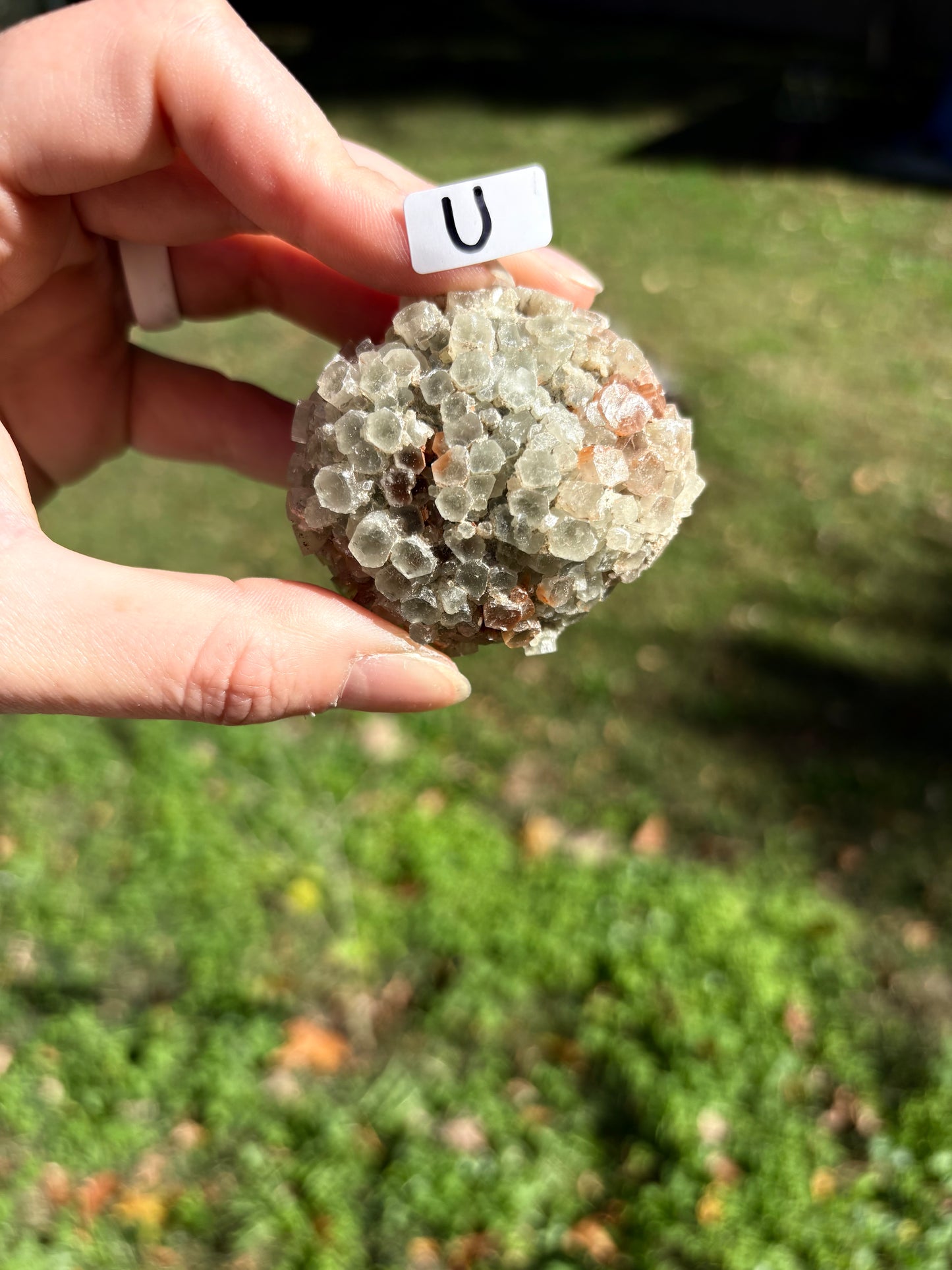 Aragonite Cluster