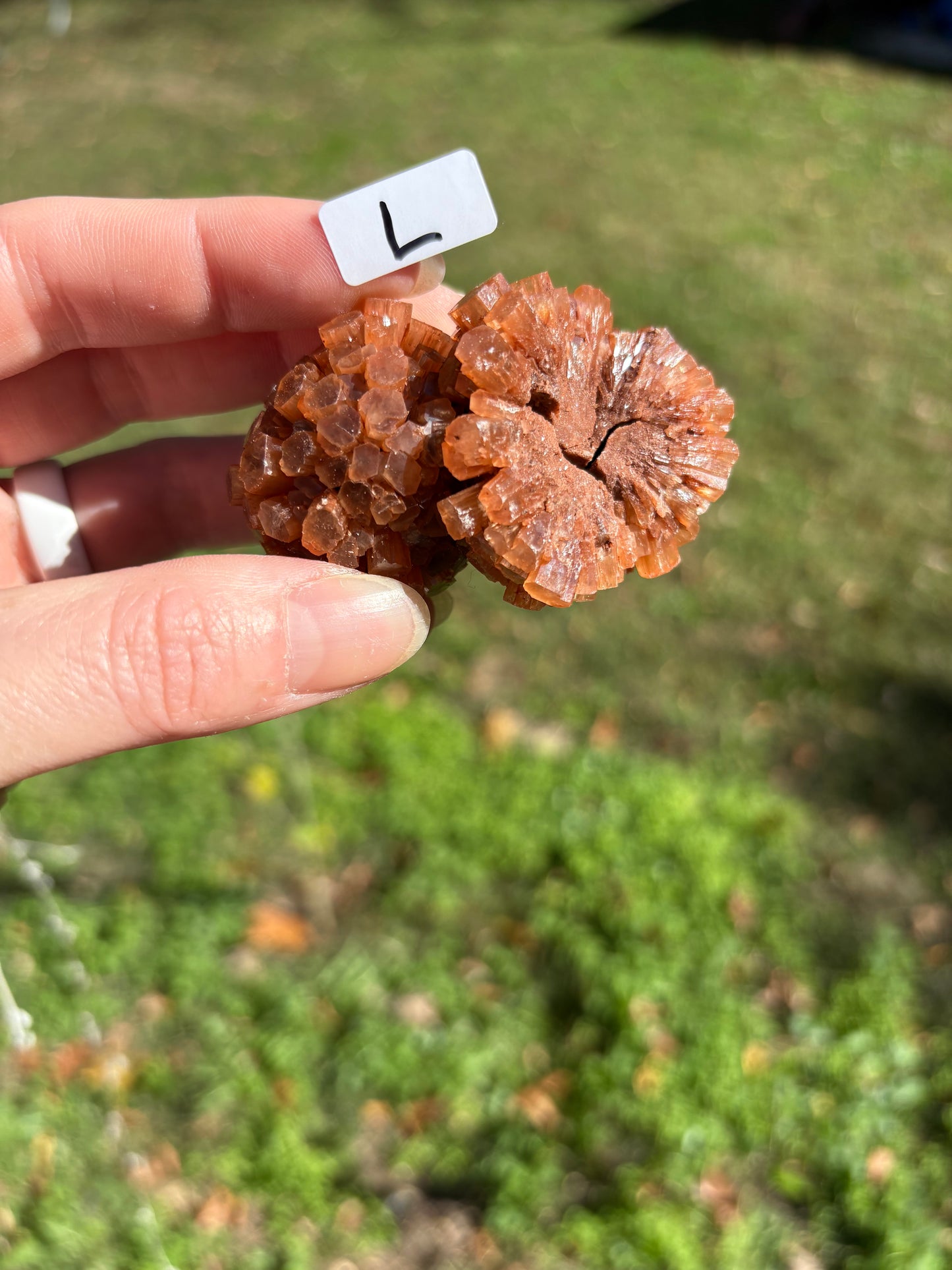 Aragonite Cluster
