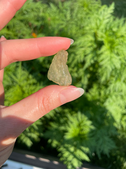 Libyan Desert Glass