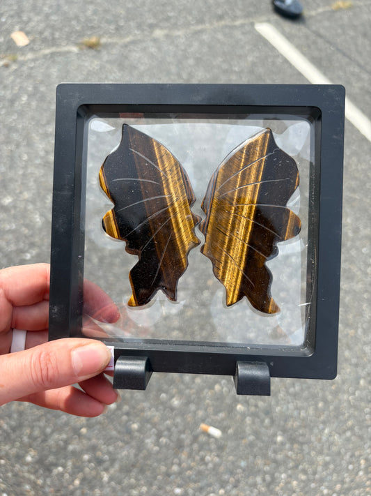 Tiger Eye Wings in Case