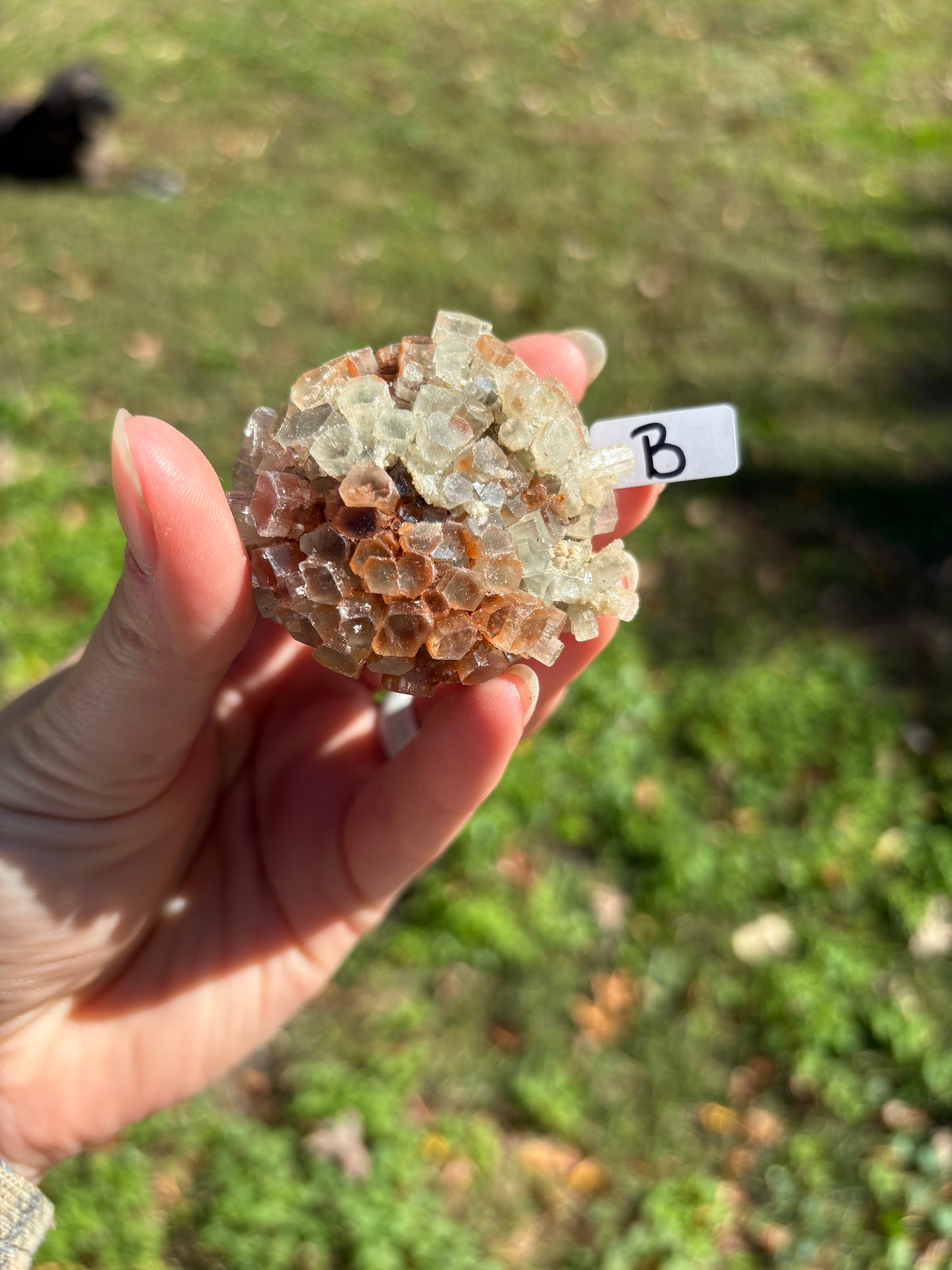 Aragonite Cluster