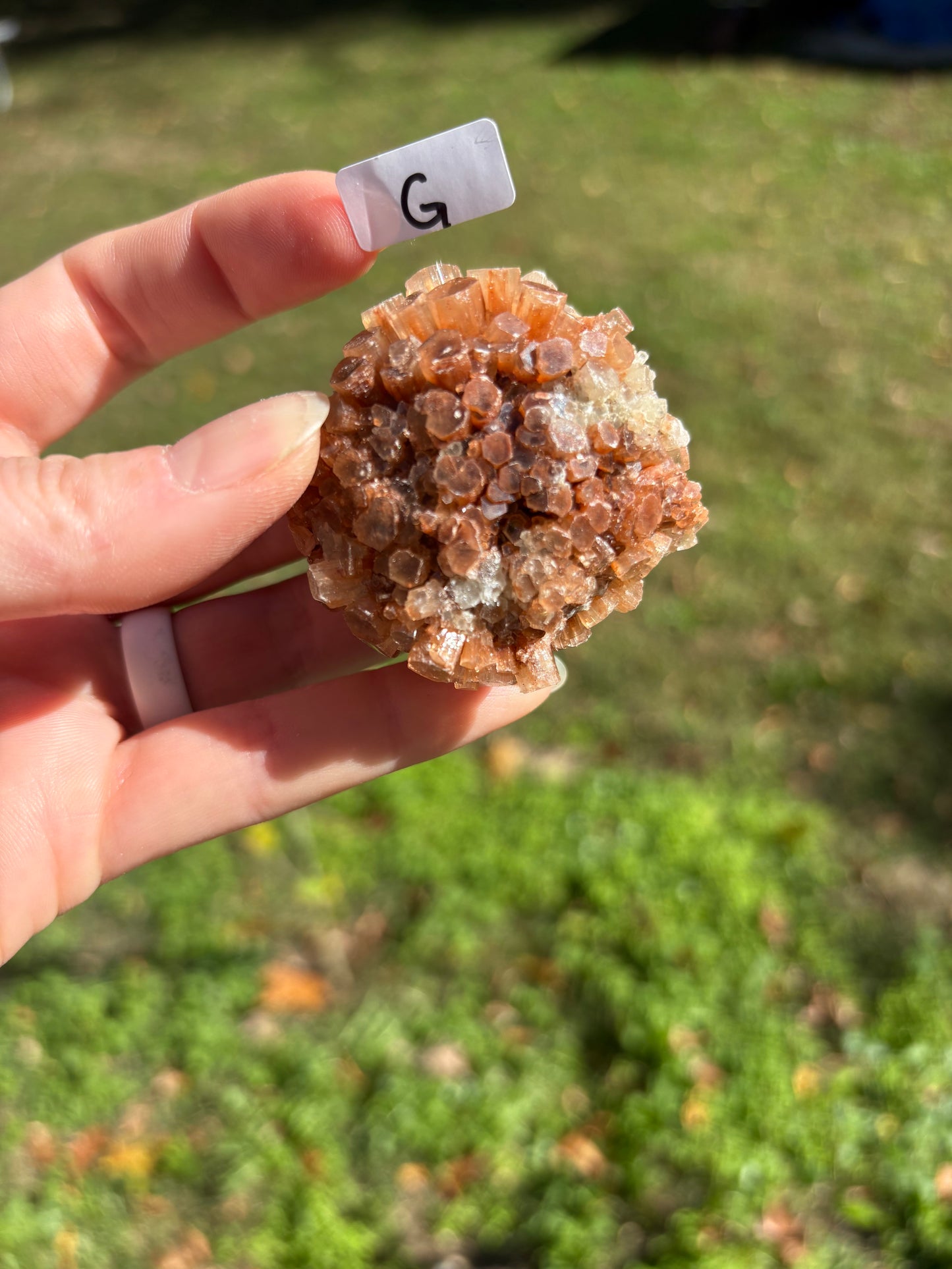 Aragonite Cluster